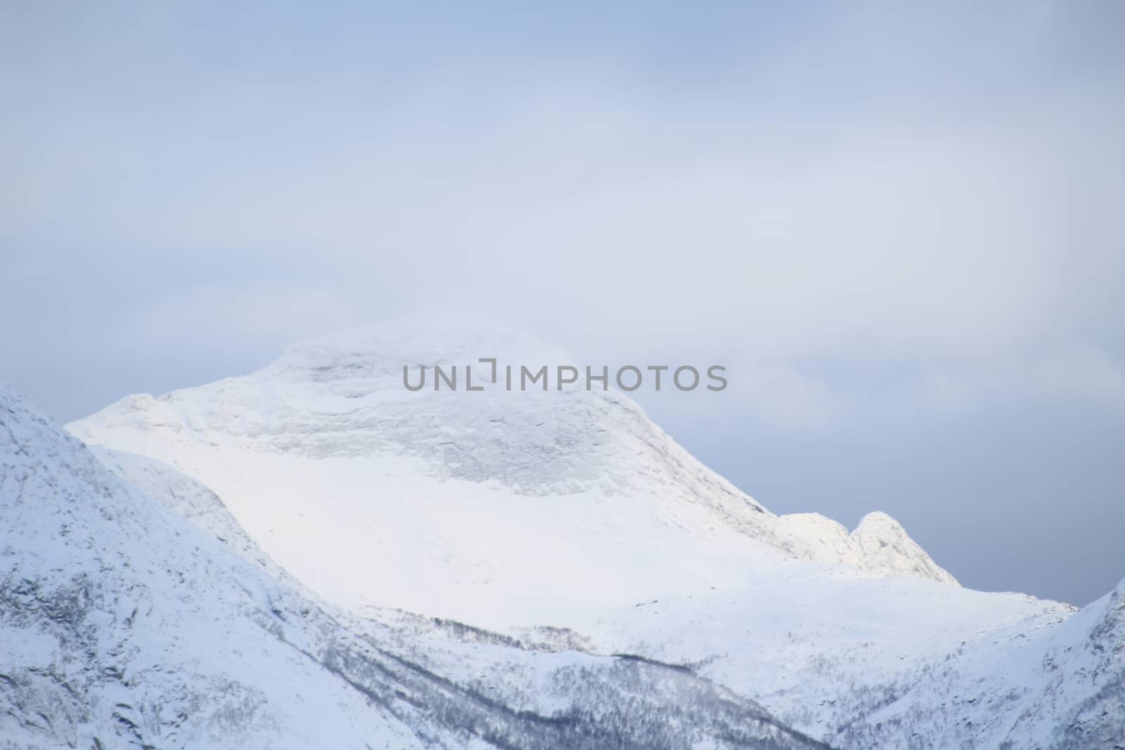 Nature,
Montain,
Forests,
Norway,
Winter