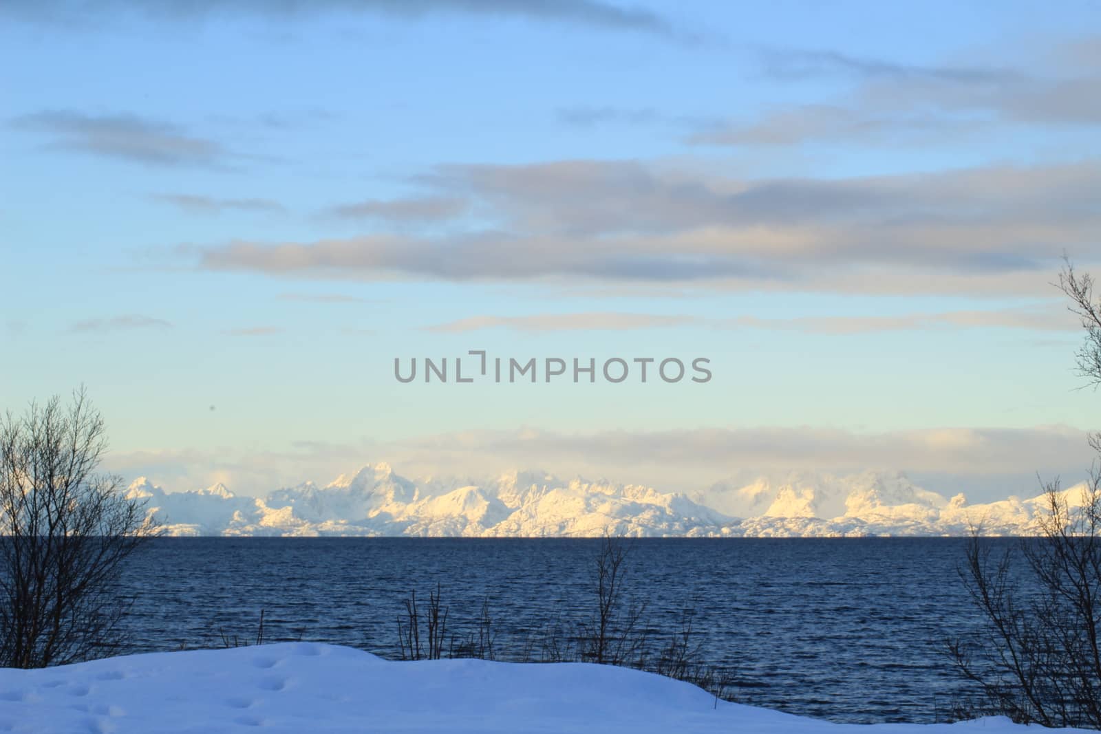 Nature,
Montain,
Forests,
Norway,
Winter
