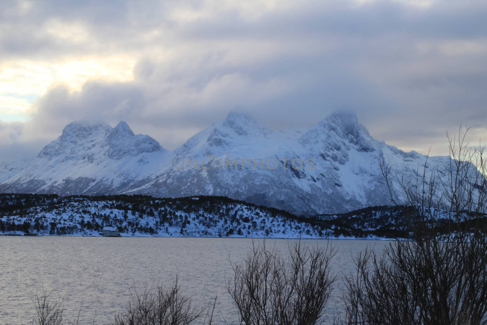 Nature,
Montain,
Forests,
Norway,
Winter
