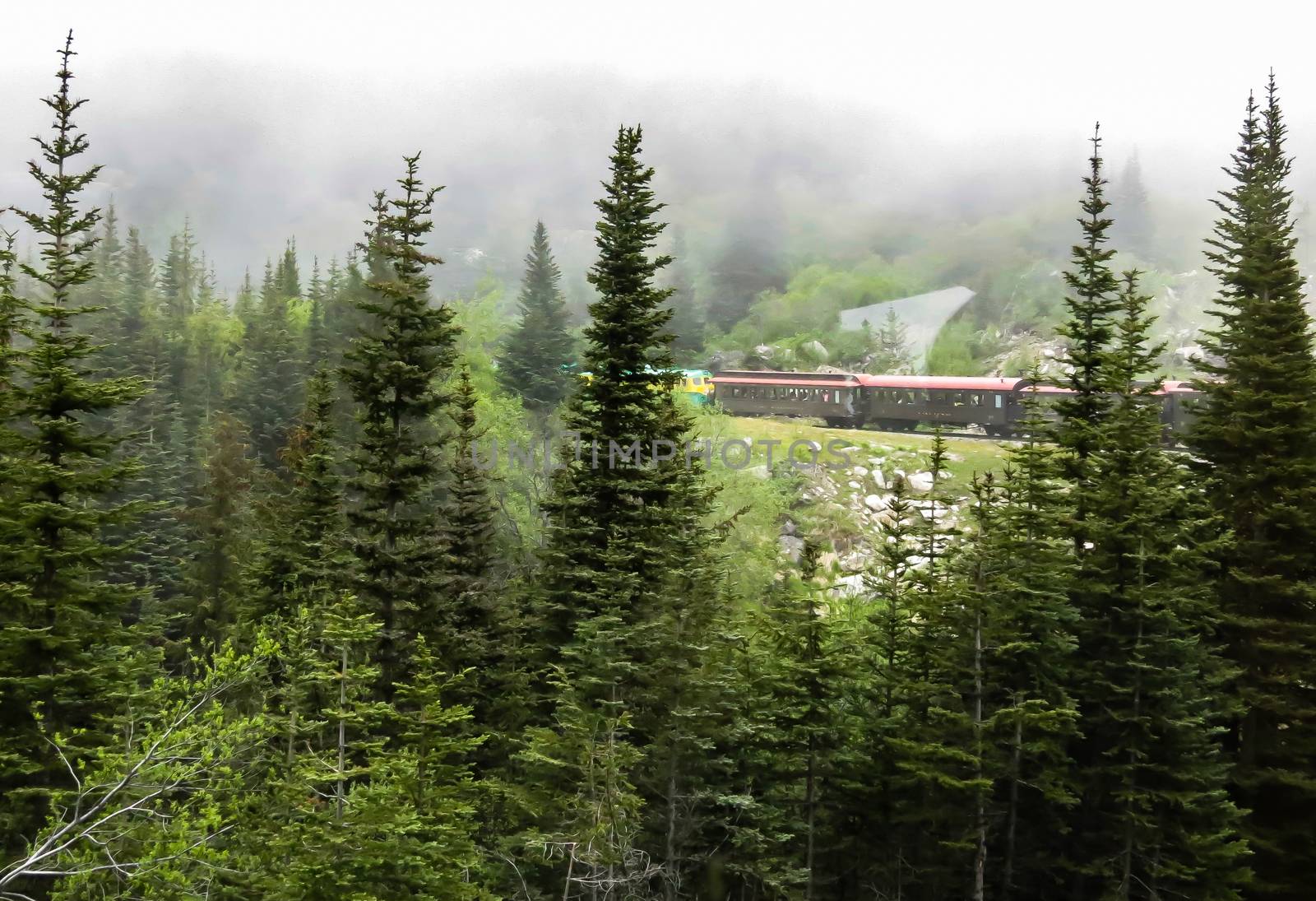 Railroad from Skagway, Alaska heading up to the Canadian border. The White Pass line takes tourists on excursions on the old rail line used for the gold rush.