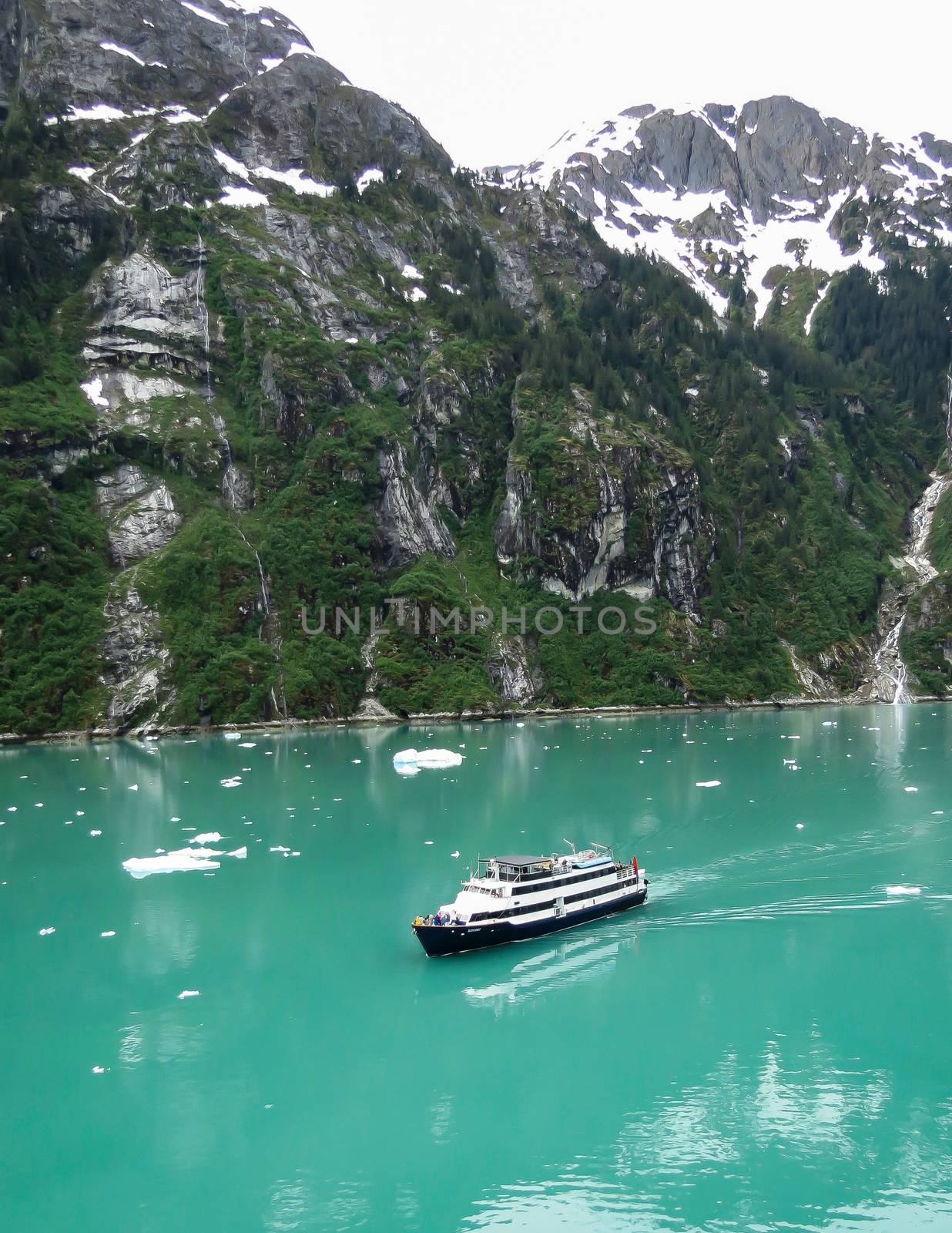 Cruise Ship in Tracy Arm by teacherdad48@yahoo.com