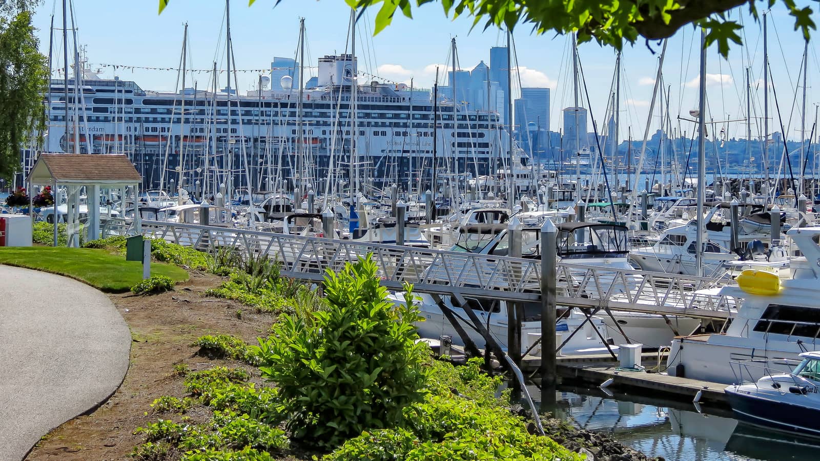 Seattle, Washington, USA- June 15, 2012: A large amount of private boats and yachts are moored in the harbor at Elliott Bay Marina in Seattle. The marina is inside Smith Cove.