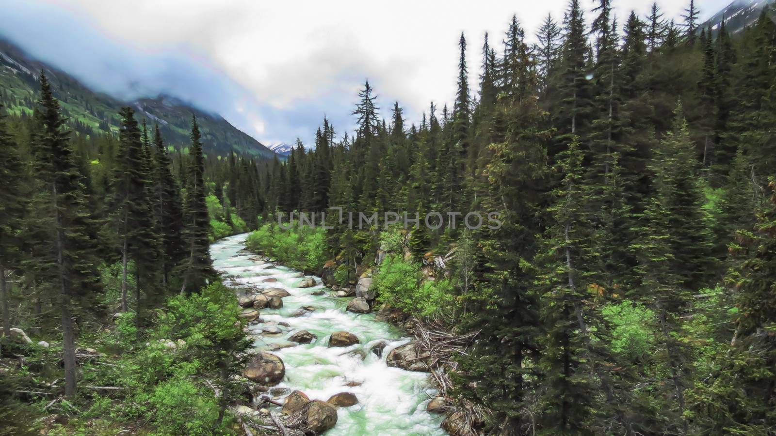 Skagway River in Alaska as seen from the White Pass Railroad.