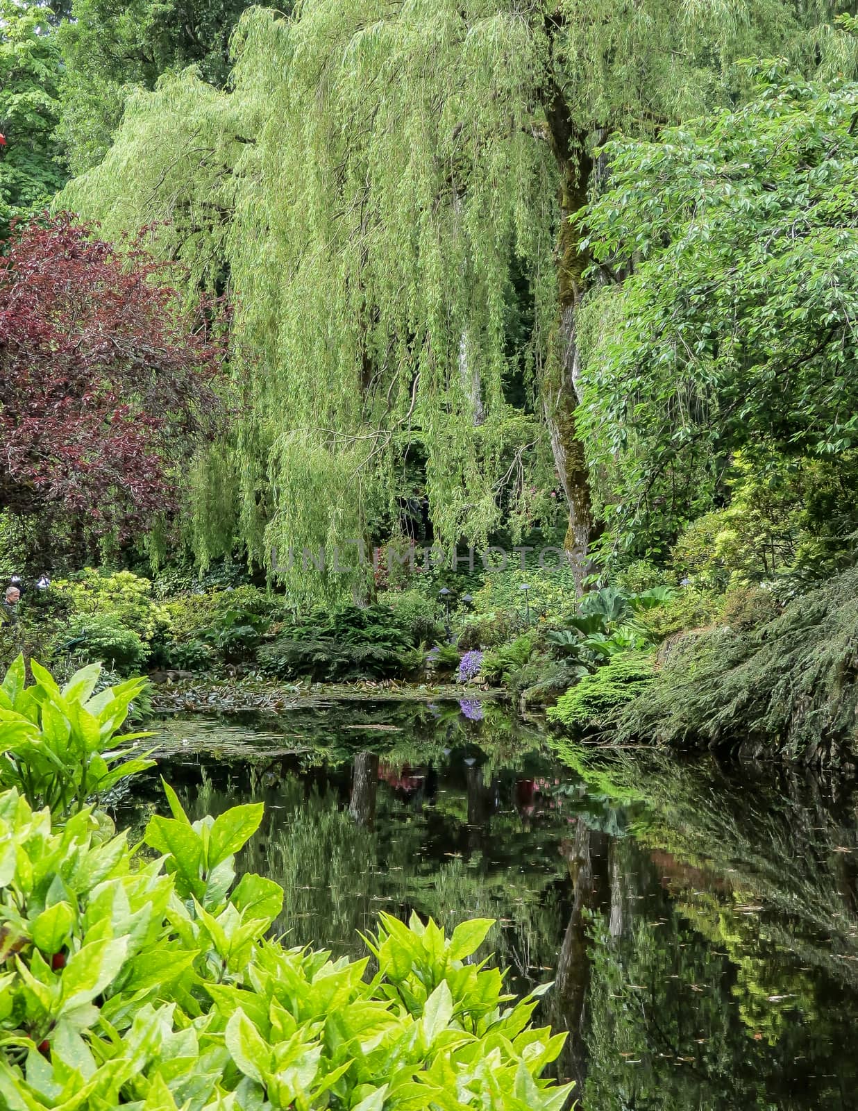 This lovely gardens in Victoria, Canada is a popular tourist attraction.