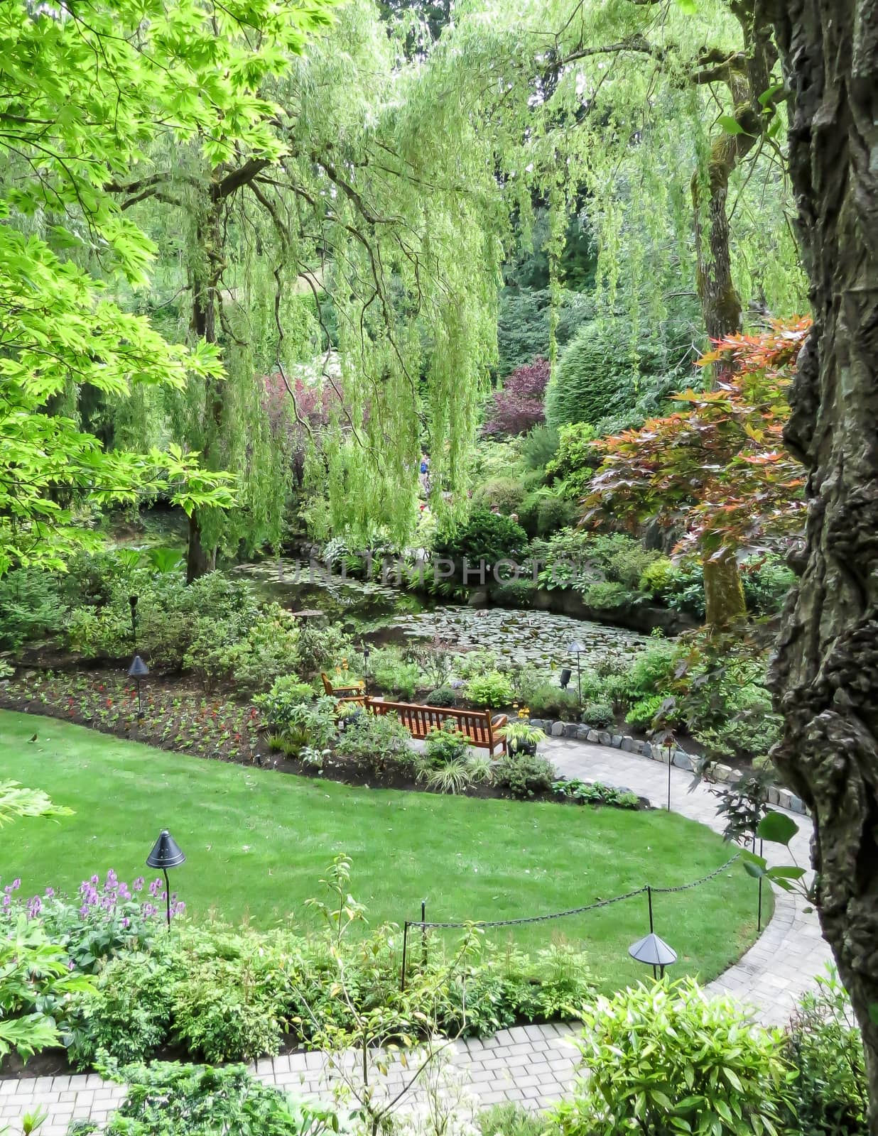 Lovely Gardens in Canada by teacherdad48@yahoo.com