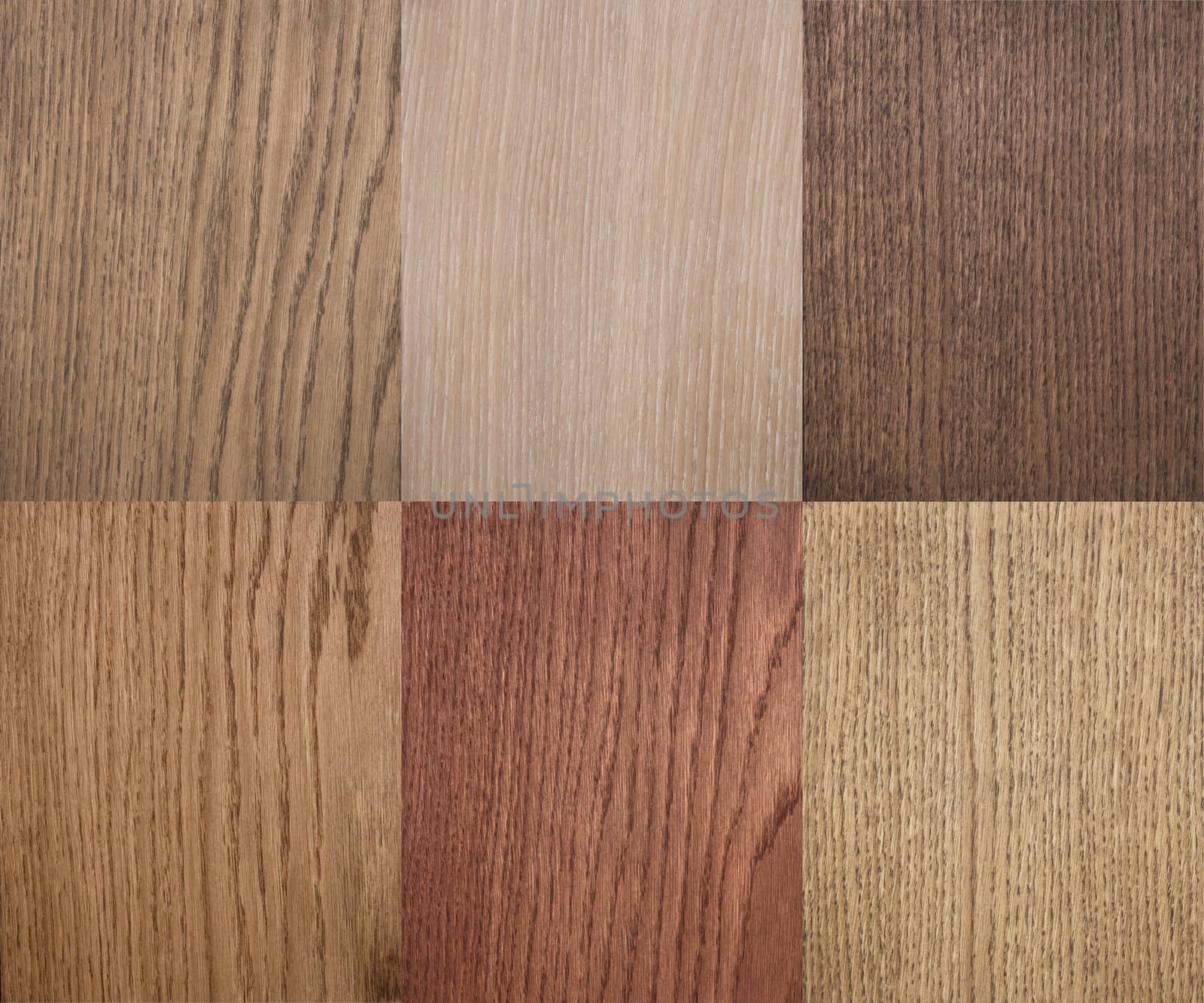 Types of wood texture by sibrikov