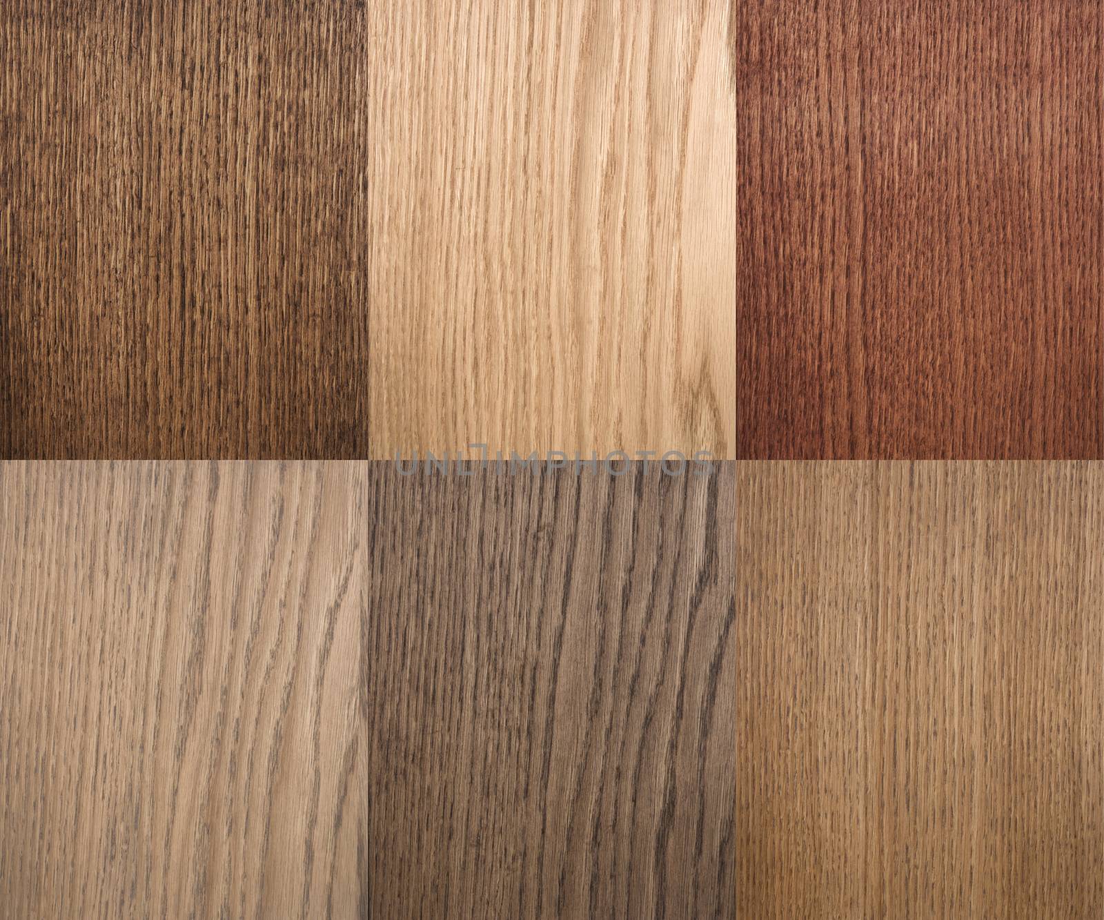 Types of wood texture by sibrikov