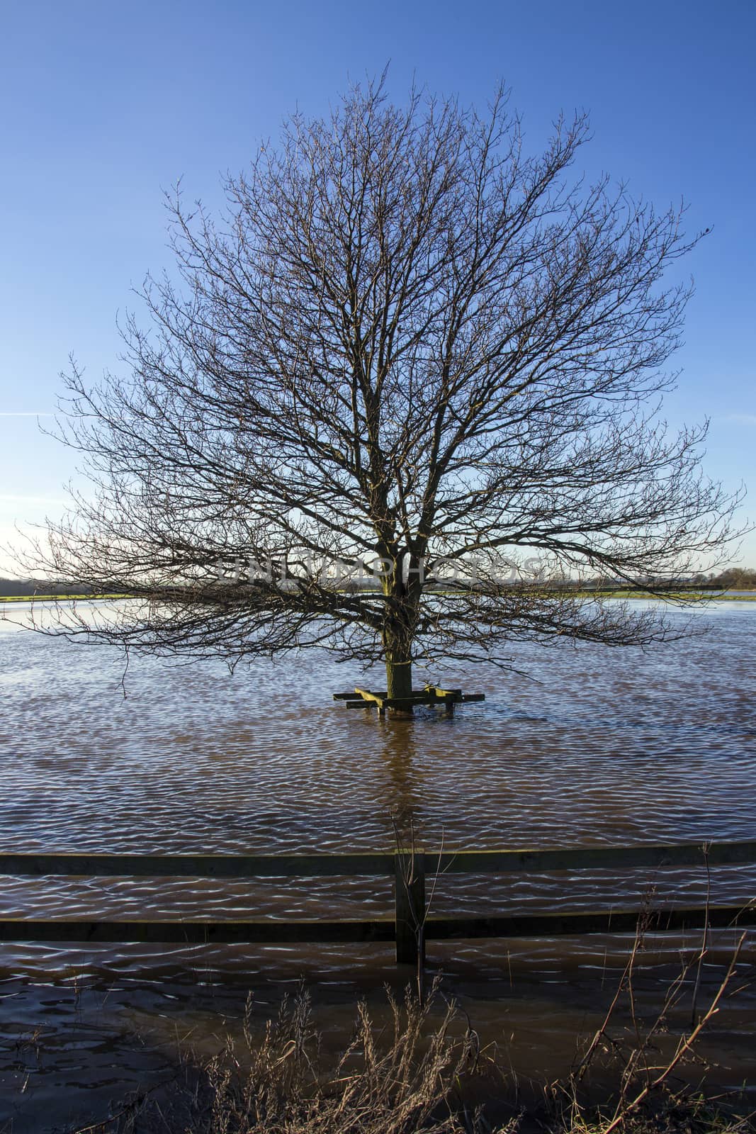 Flooded farmland in North Yorkshire in the northeast of England.