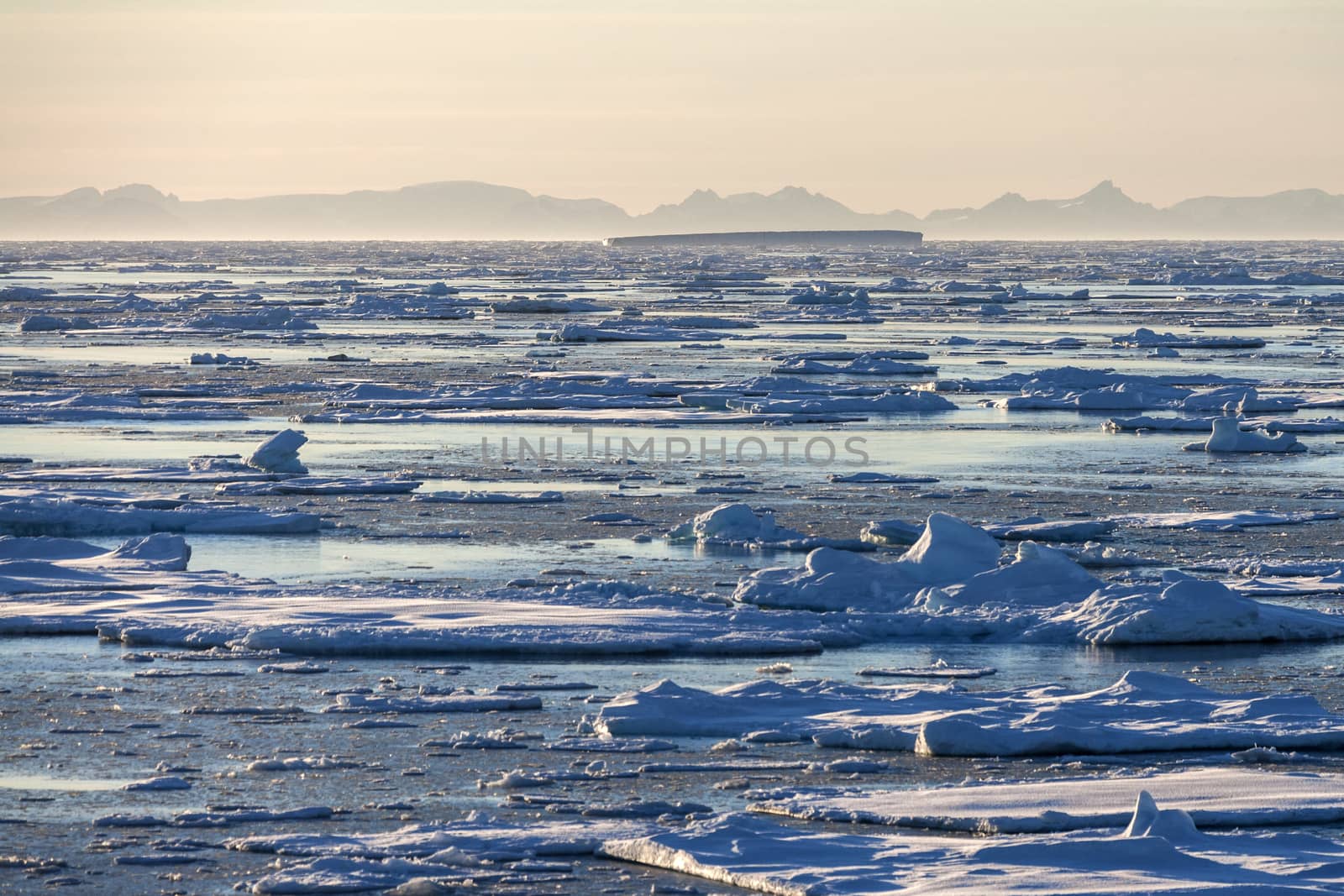 Sea ice off the coast of eastern Greenland.