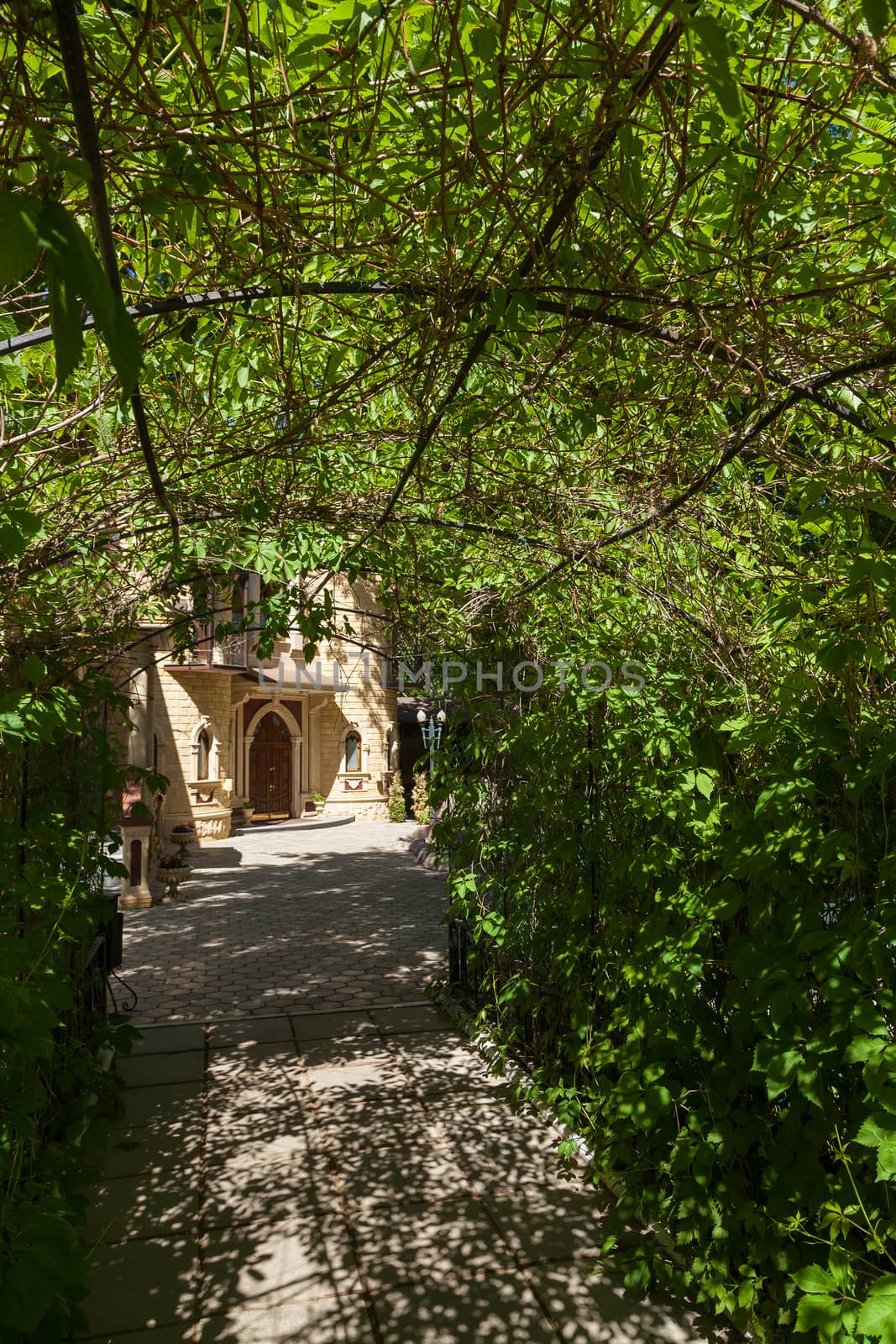 arch the leader braided by a grapevine to the building