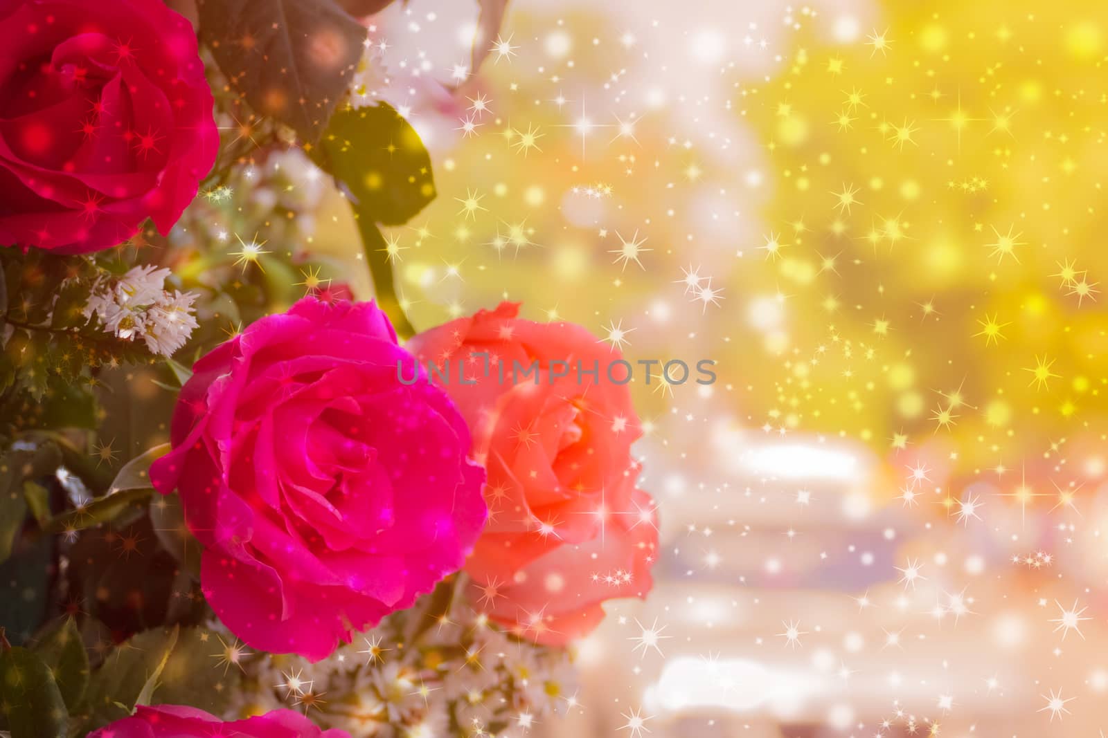 beautiful background with flowers roses by teerawit