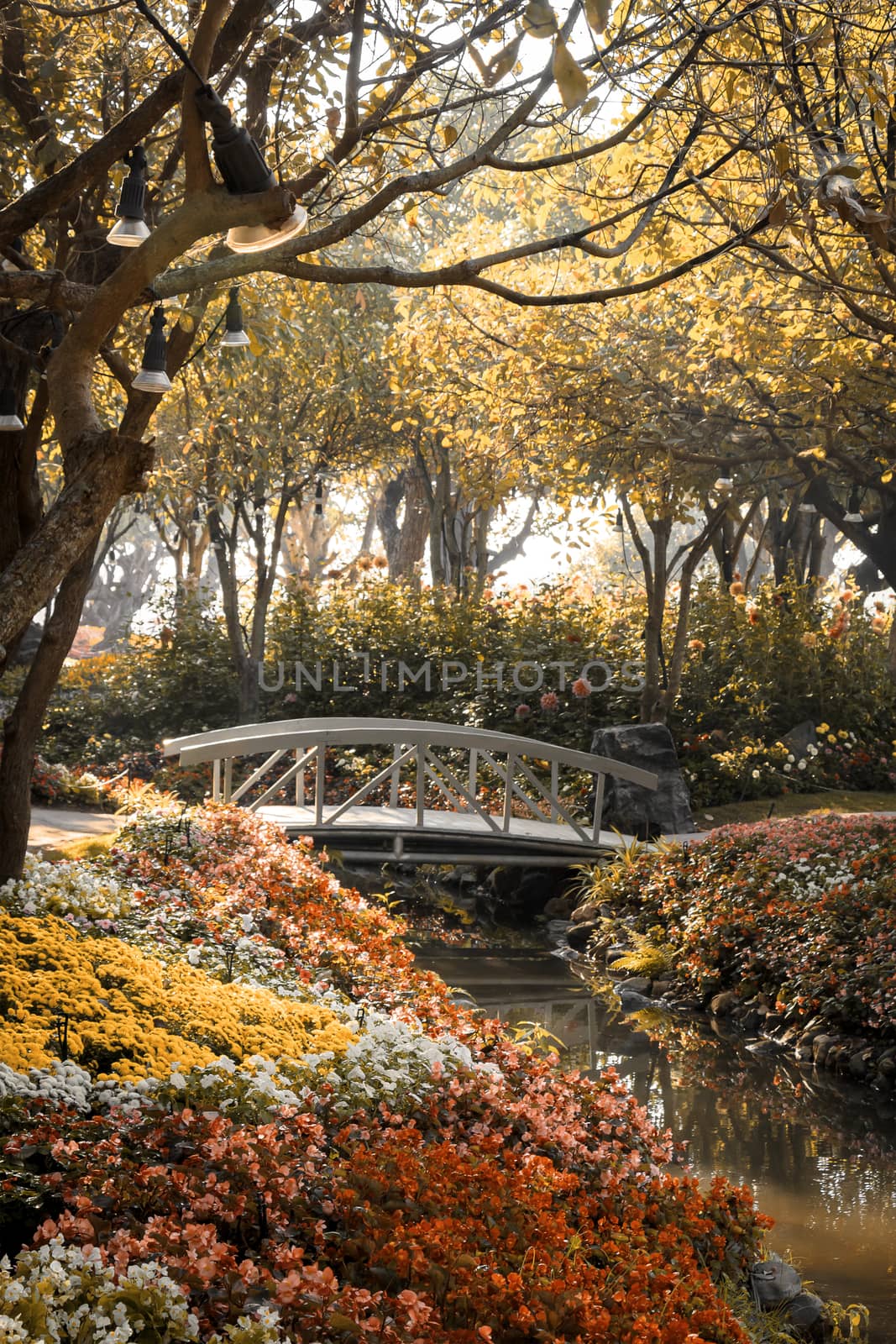 wooden bridge in flower garden on morning sun light sepia color