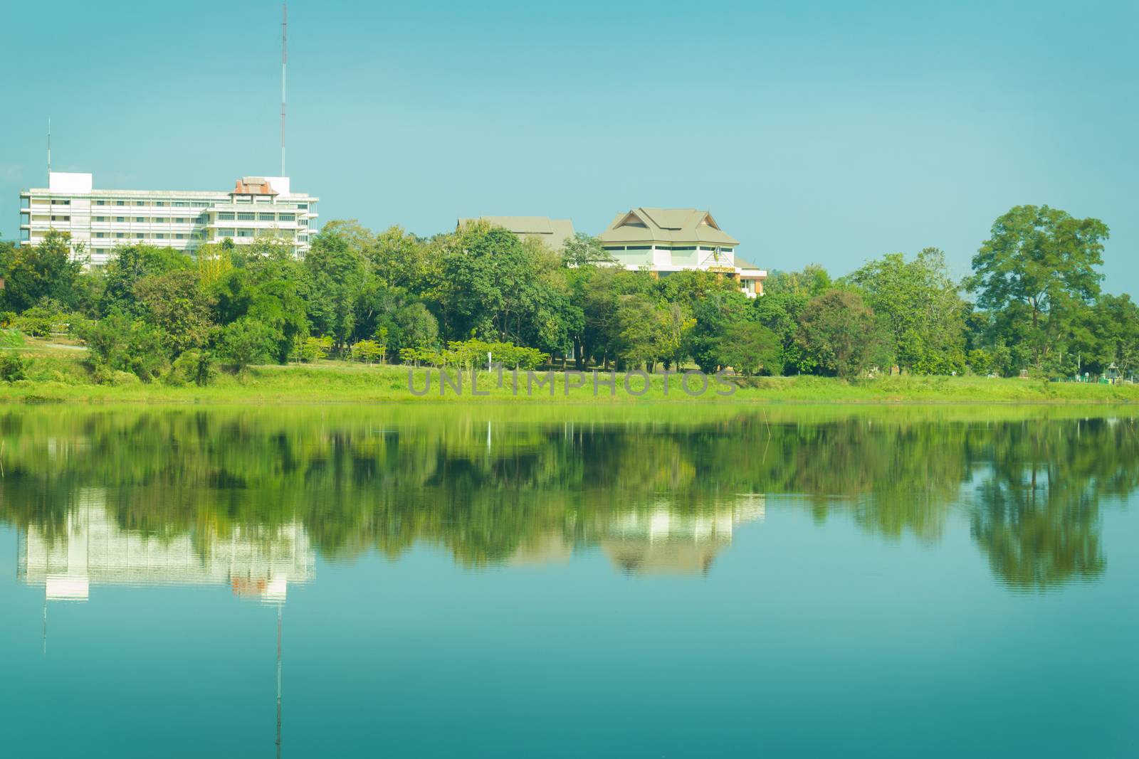 Nhong Bua Lake Chiang Rai , Thailand