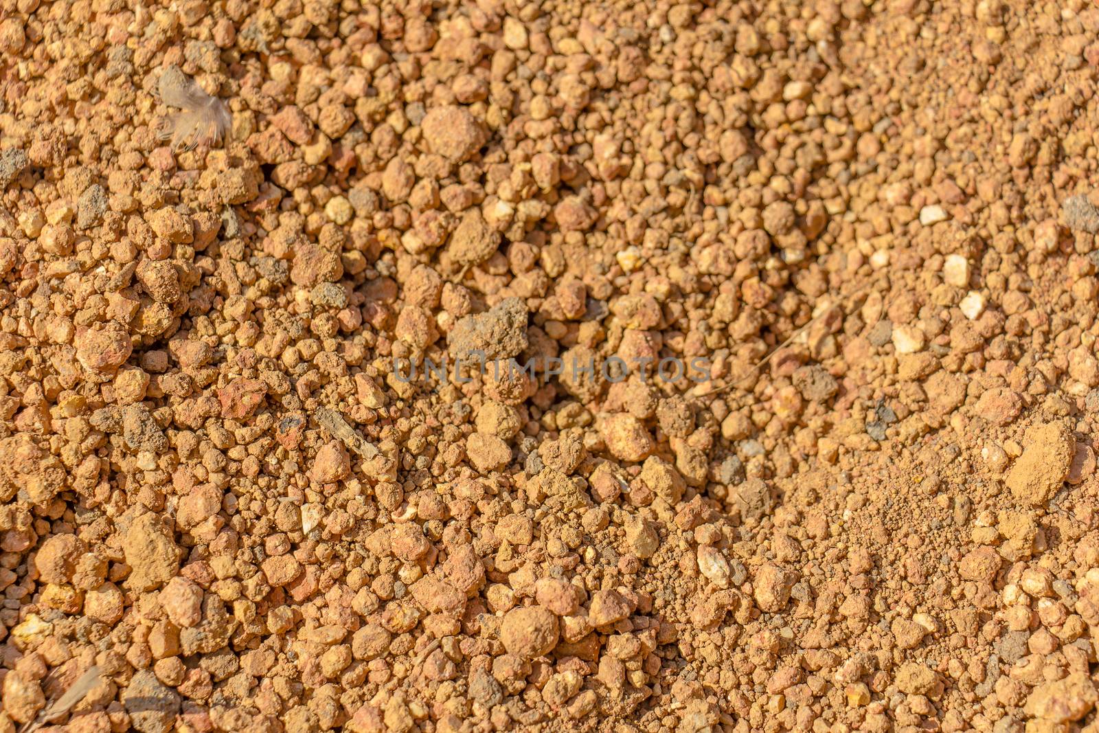 picture of red orange soil texture
