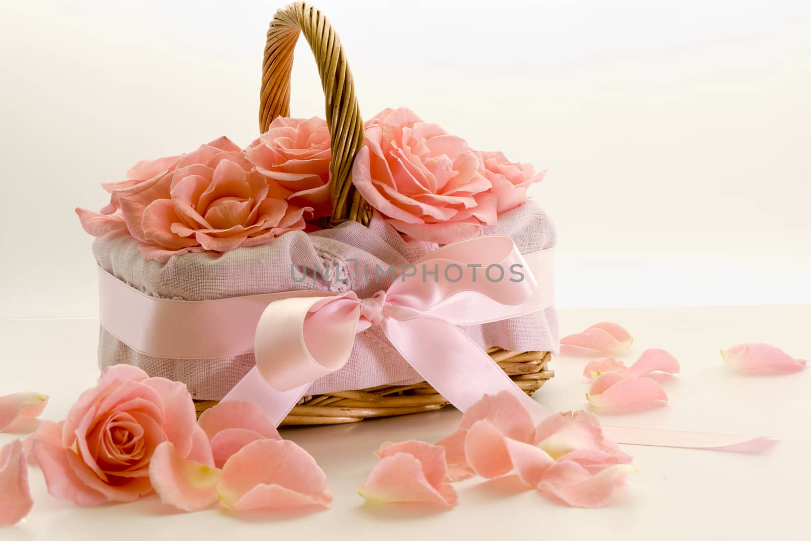 Roses in the basket with bow isolated on white background