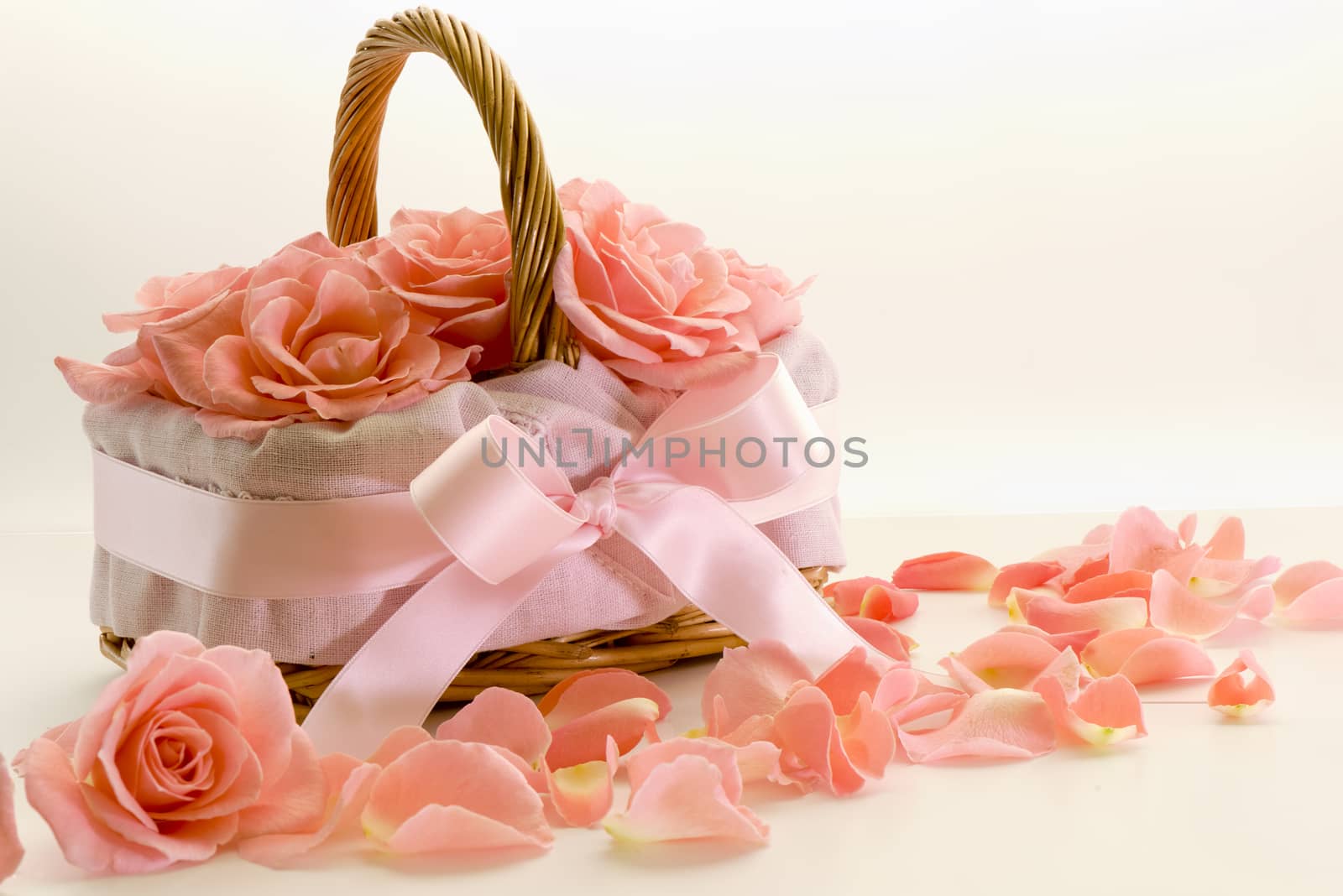 Roses in the basket with bow isolated on white background