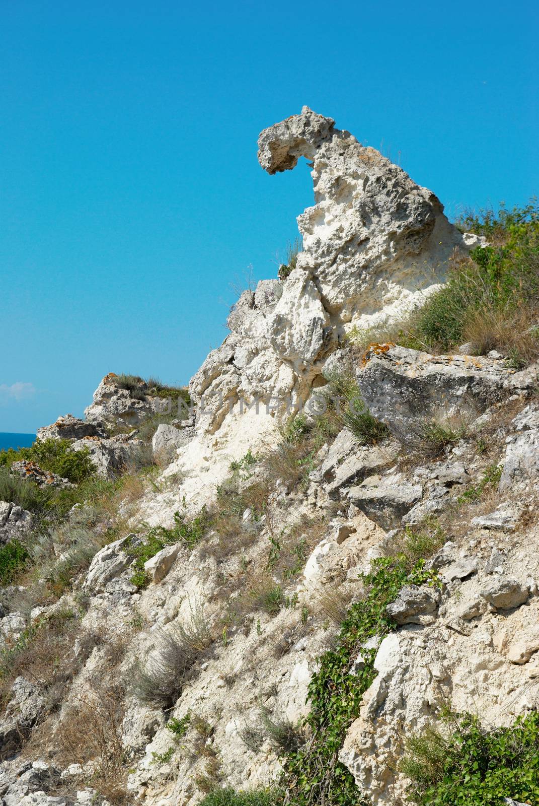 A coastline with many big rocks.