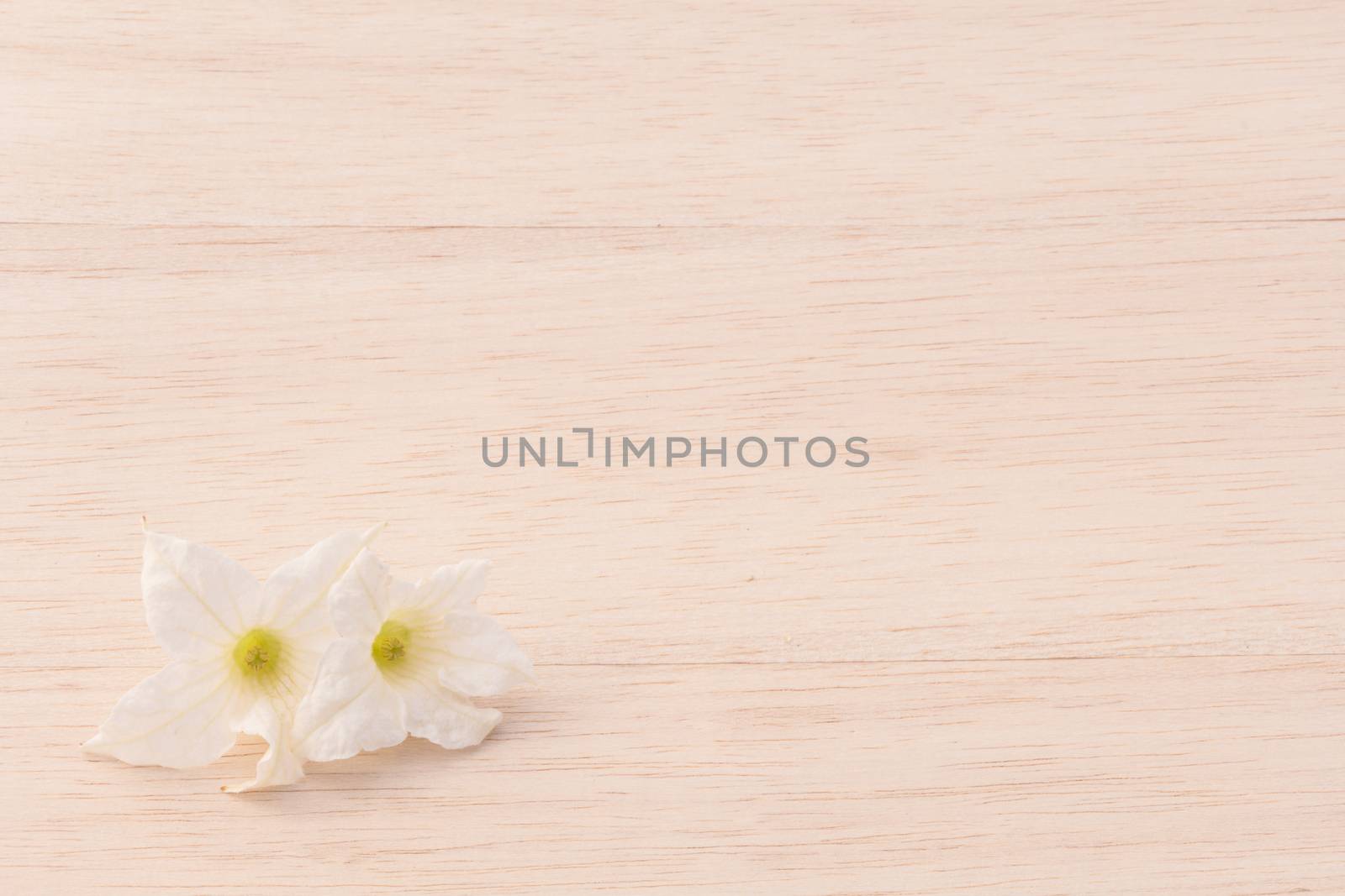 white flower on wood background by chingraph