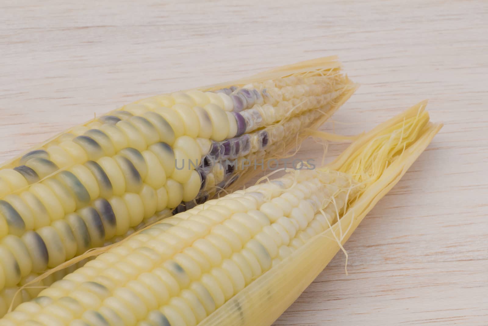 waxy corn,waxy maize on wood background by chingraph