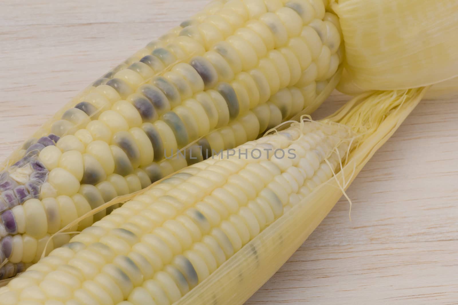 waxy corn,waxy maize on wood background