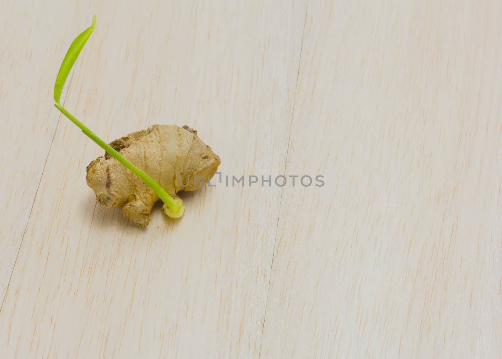 ginger with sprout on wood background