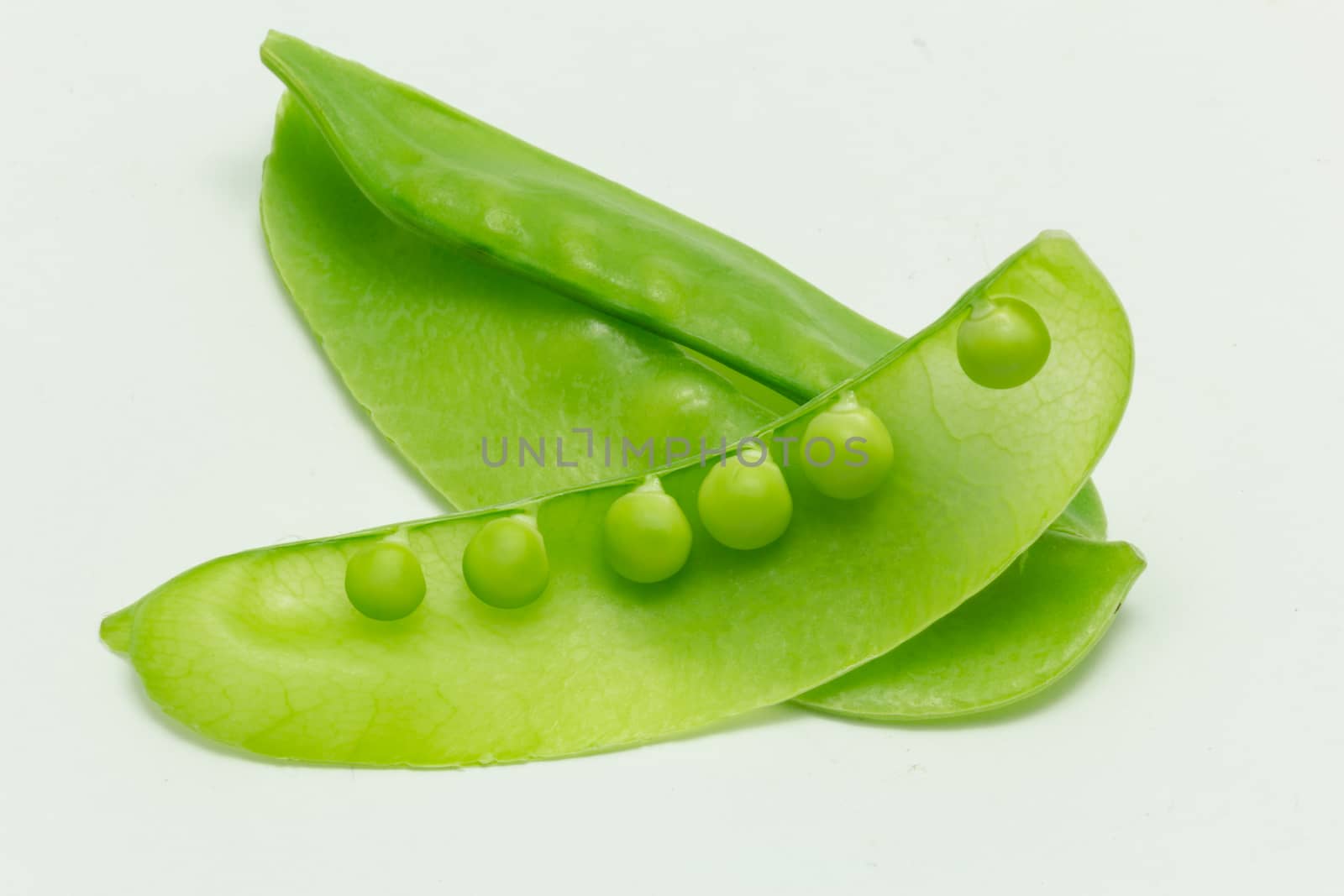 snow pea isolated on white background
