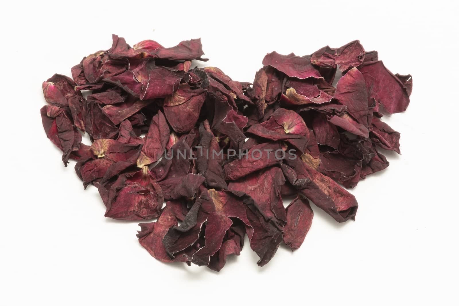 Heart Shape withered roses petal isolated on white background