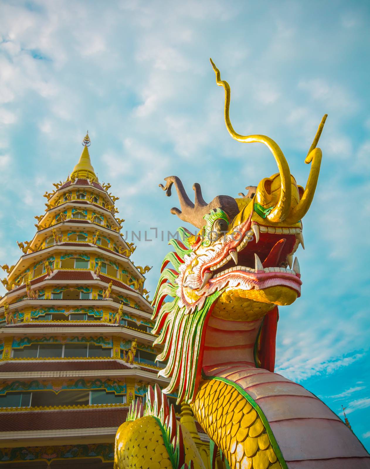 Dragon Statue with Pagoda of Wat Huay pla kang chiang Rai,Thaila by chingraph