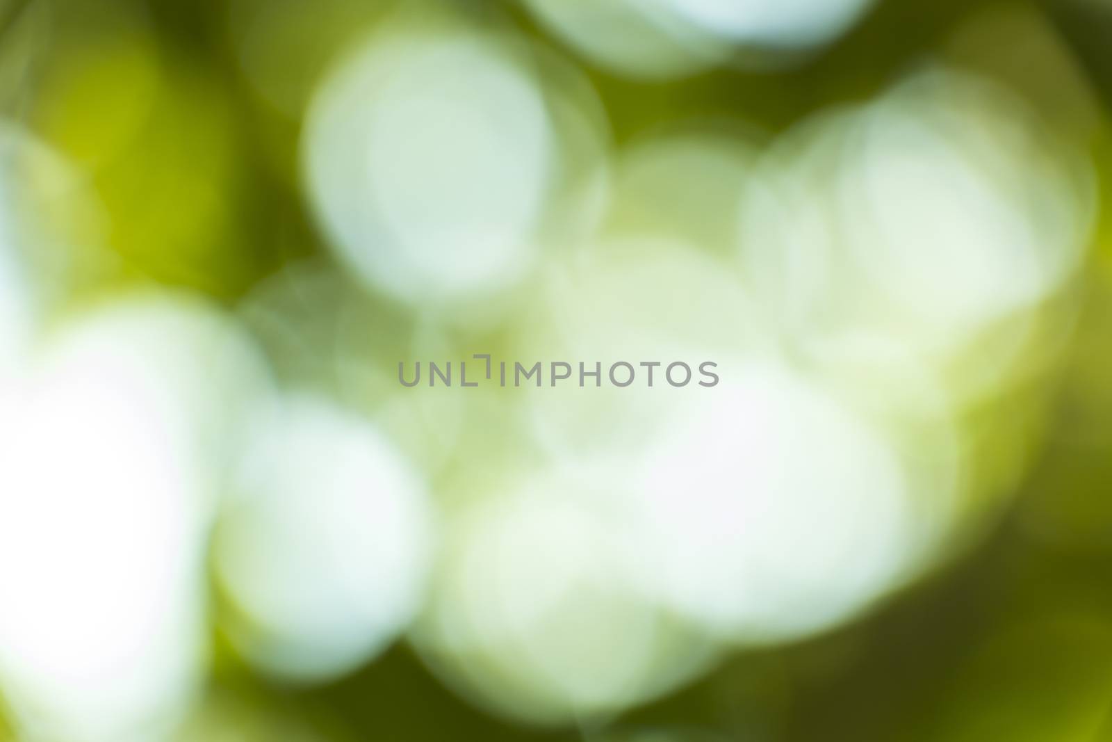 abstract spring green background