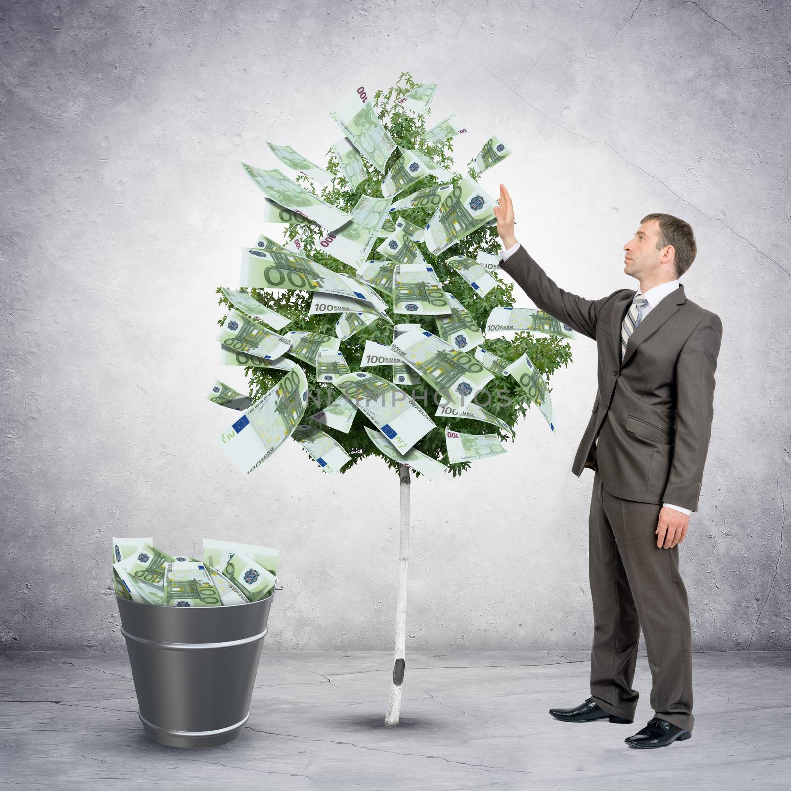 Businessman collecting money from tree with bucket full of money