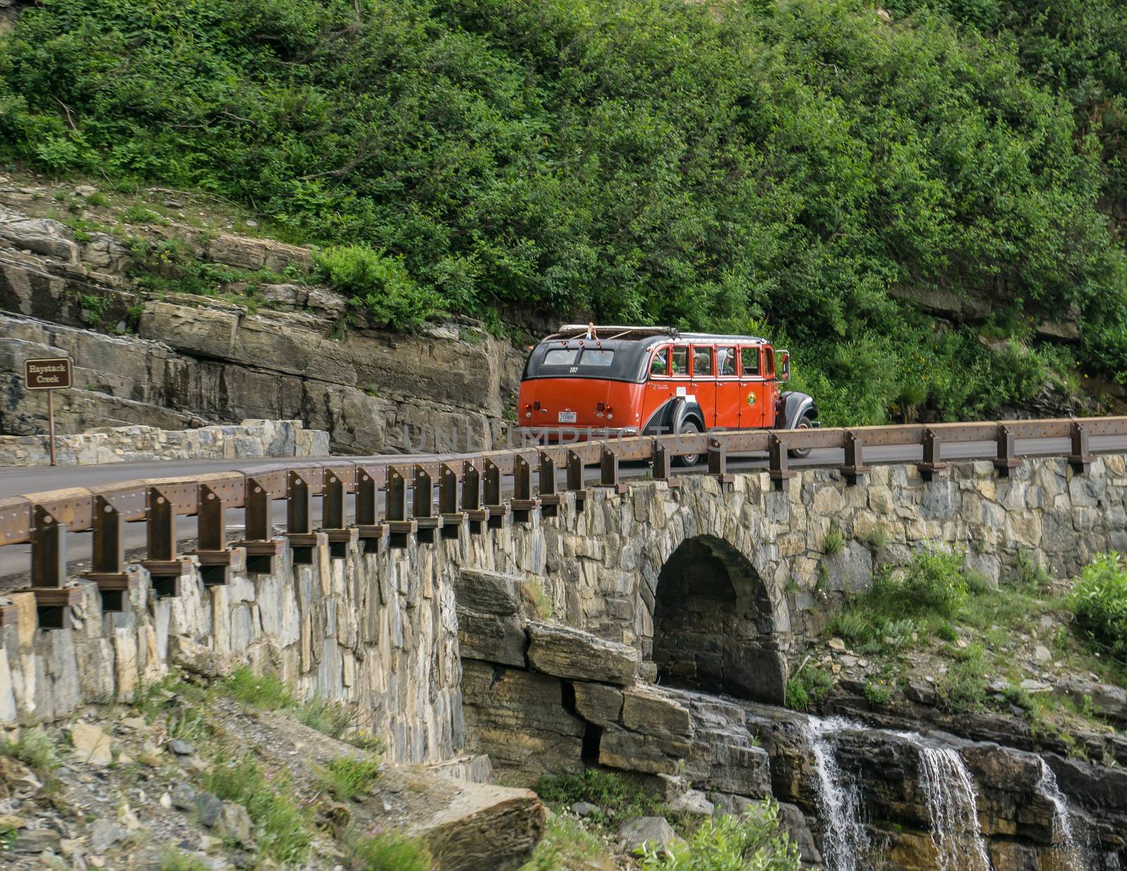 Glacier National Park, Montana, USA-July 11, 2015: The famous Red Bus vehicle of the parks service takes  passengers up to  tour Going to the Sun Road inside the park.