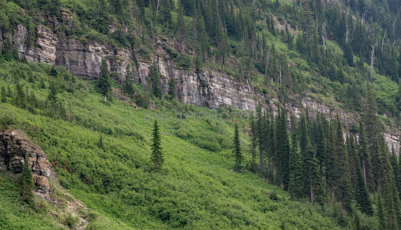 Cliffs at Glacier National Park.