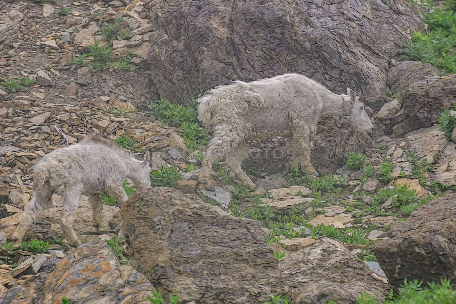 Mountain Goats by teacherdad48@yahoo.com