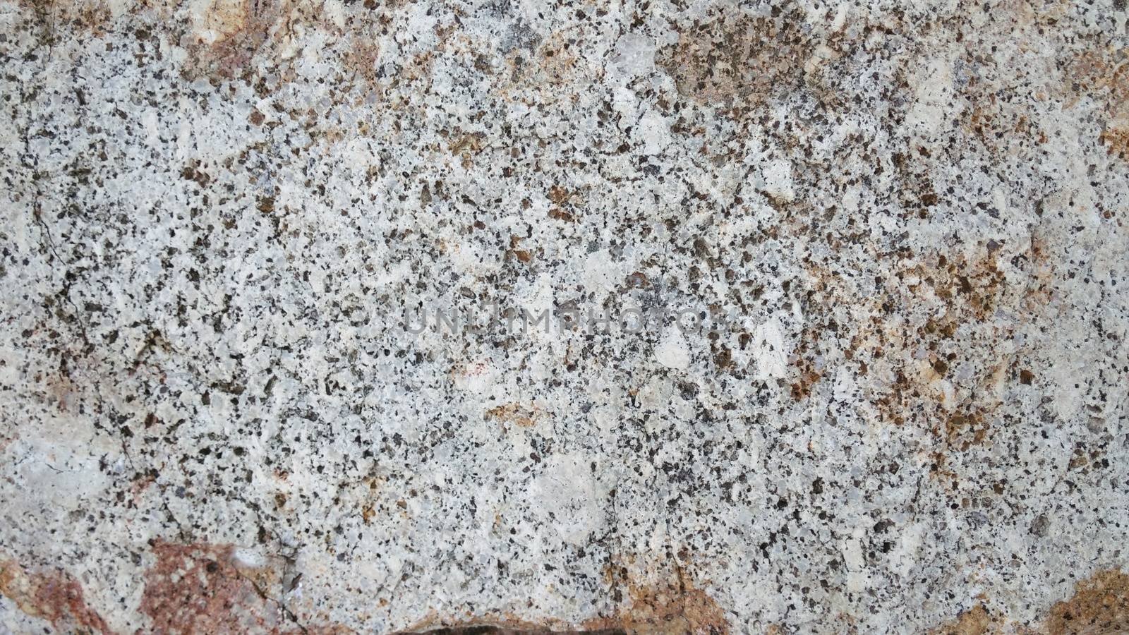 Close-up of White Big Rock