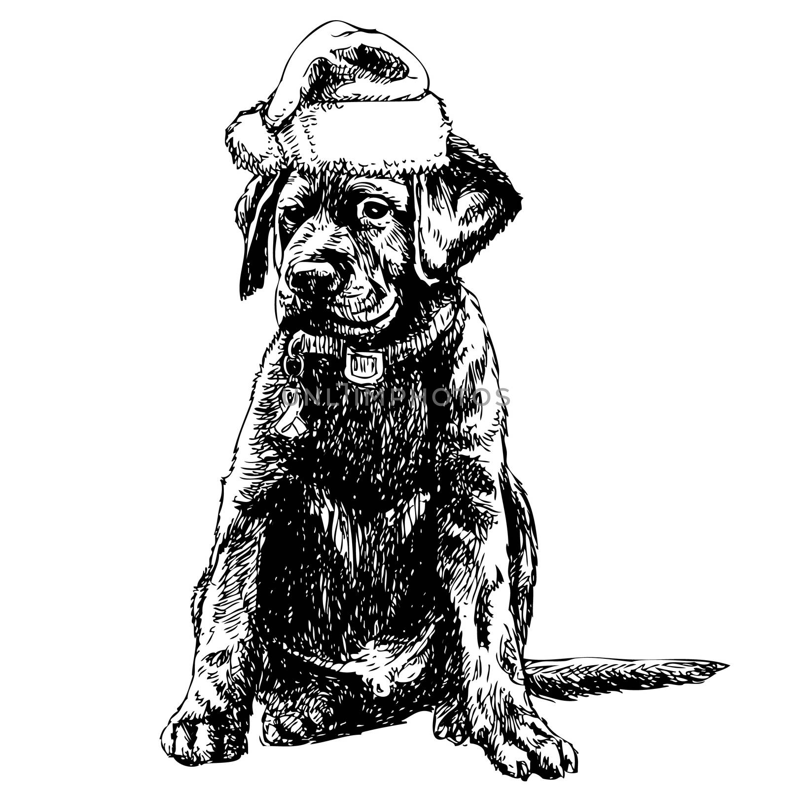 Labrador Retriever with santa claus hat hand drawn vector , use for christmas background