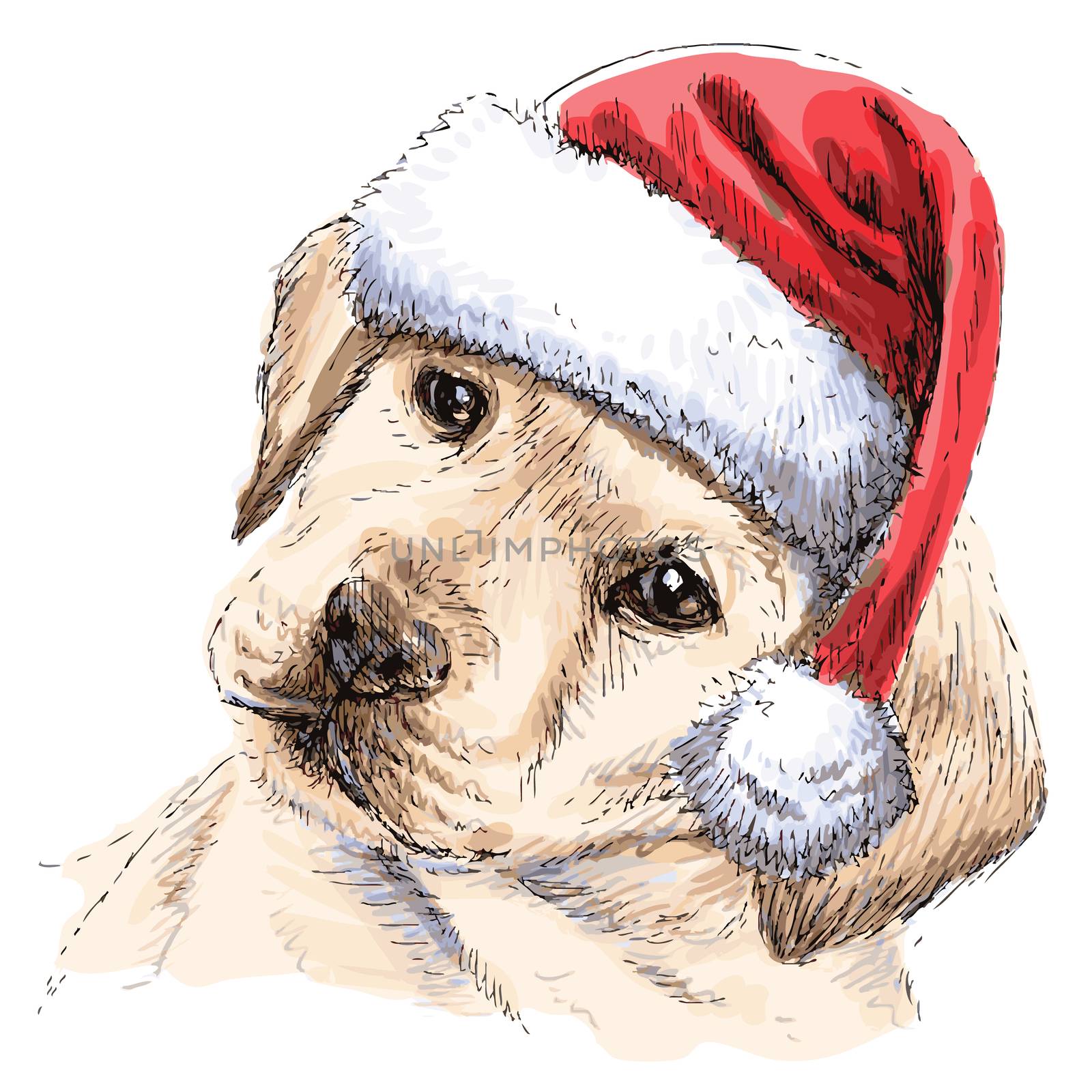 Labrador Retriever with santa claus hat hand drawn vector , use for christmas background