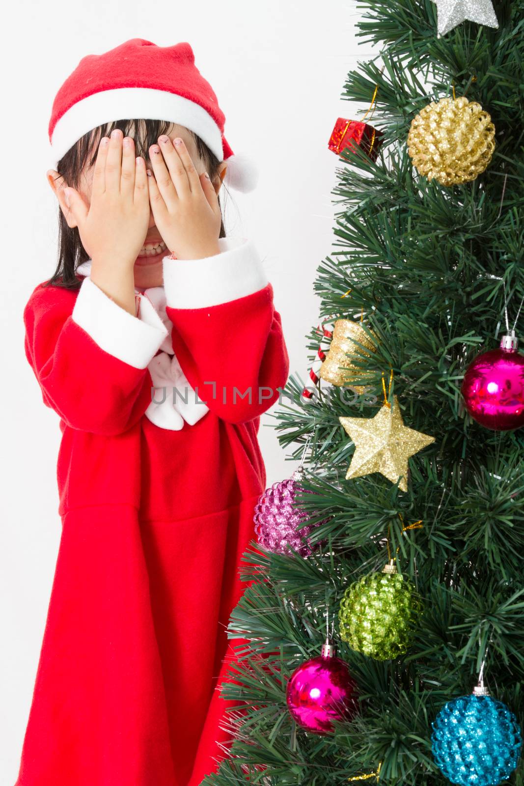 Asian Chinese little girl posing with Christmas Tree on plain white background studio.