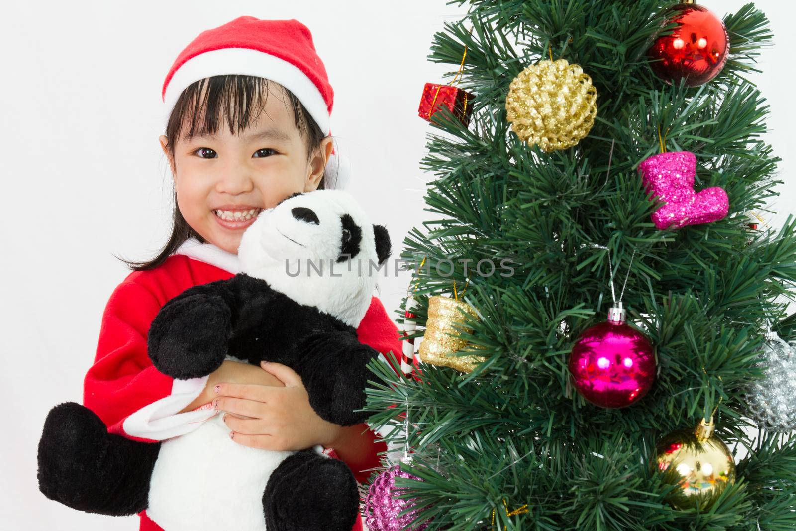 Asian Chinese little girl holding panda doll posing with Christmas Tree on plain white background studio.