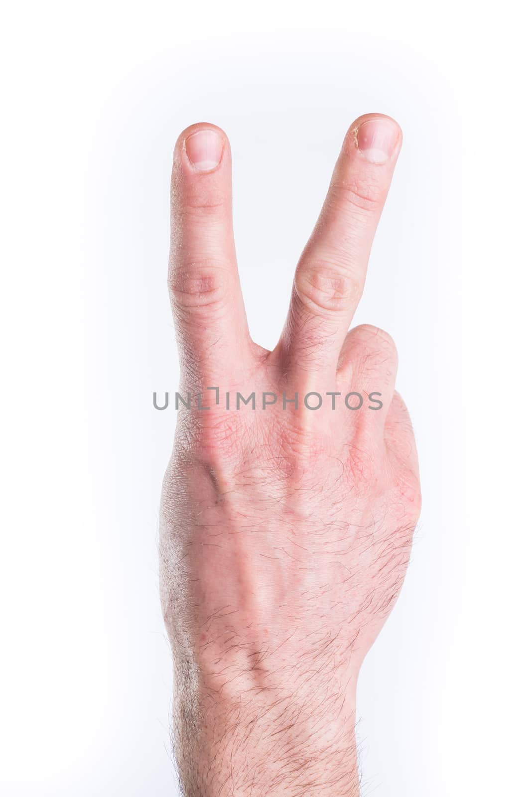 Man's hand mimic numbers on white background