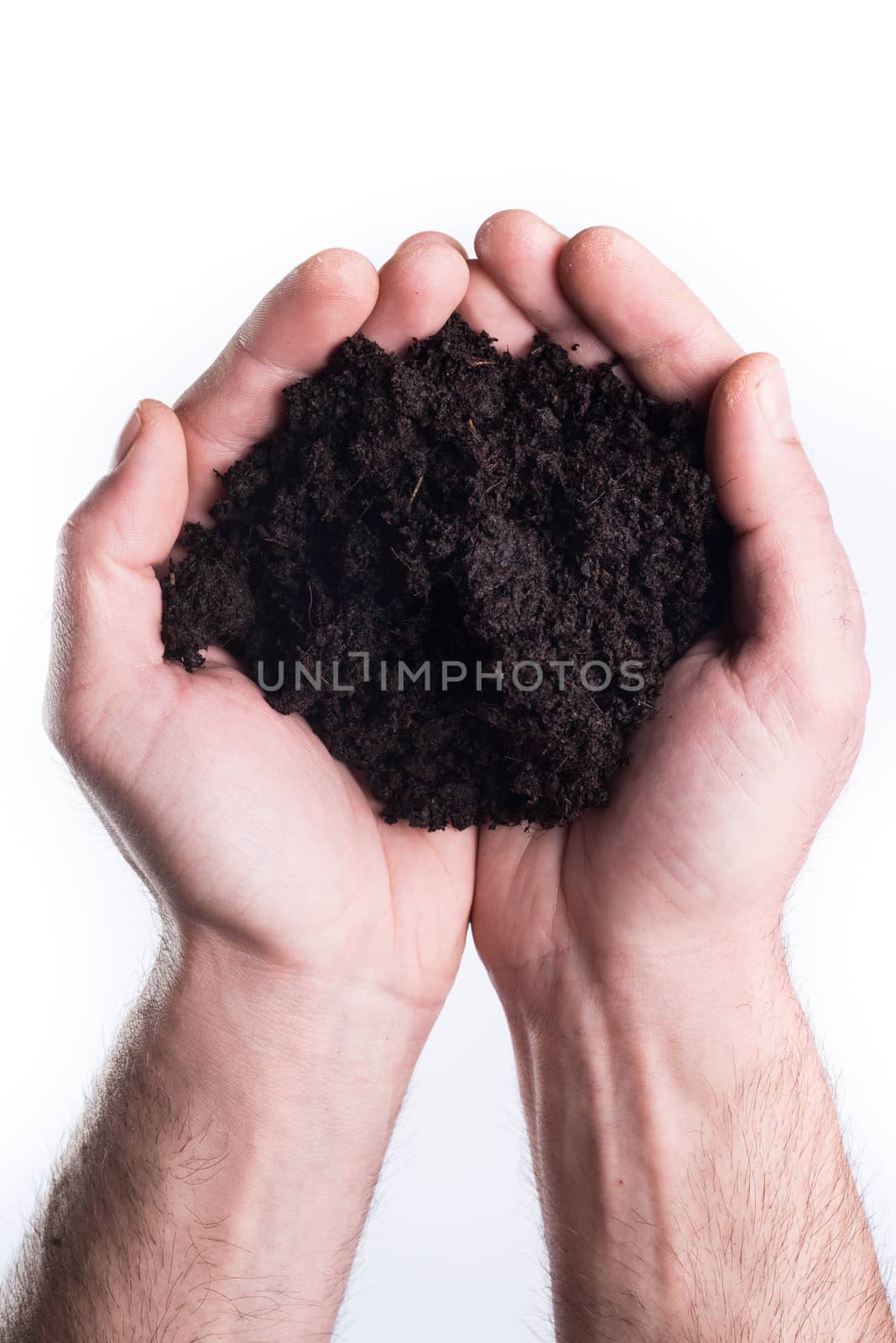 Man's hands holds topsoil on white background