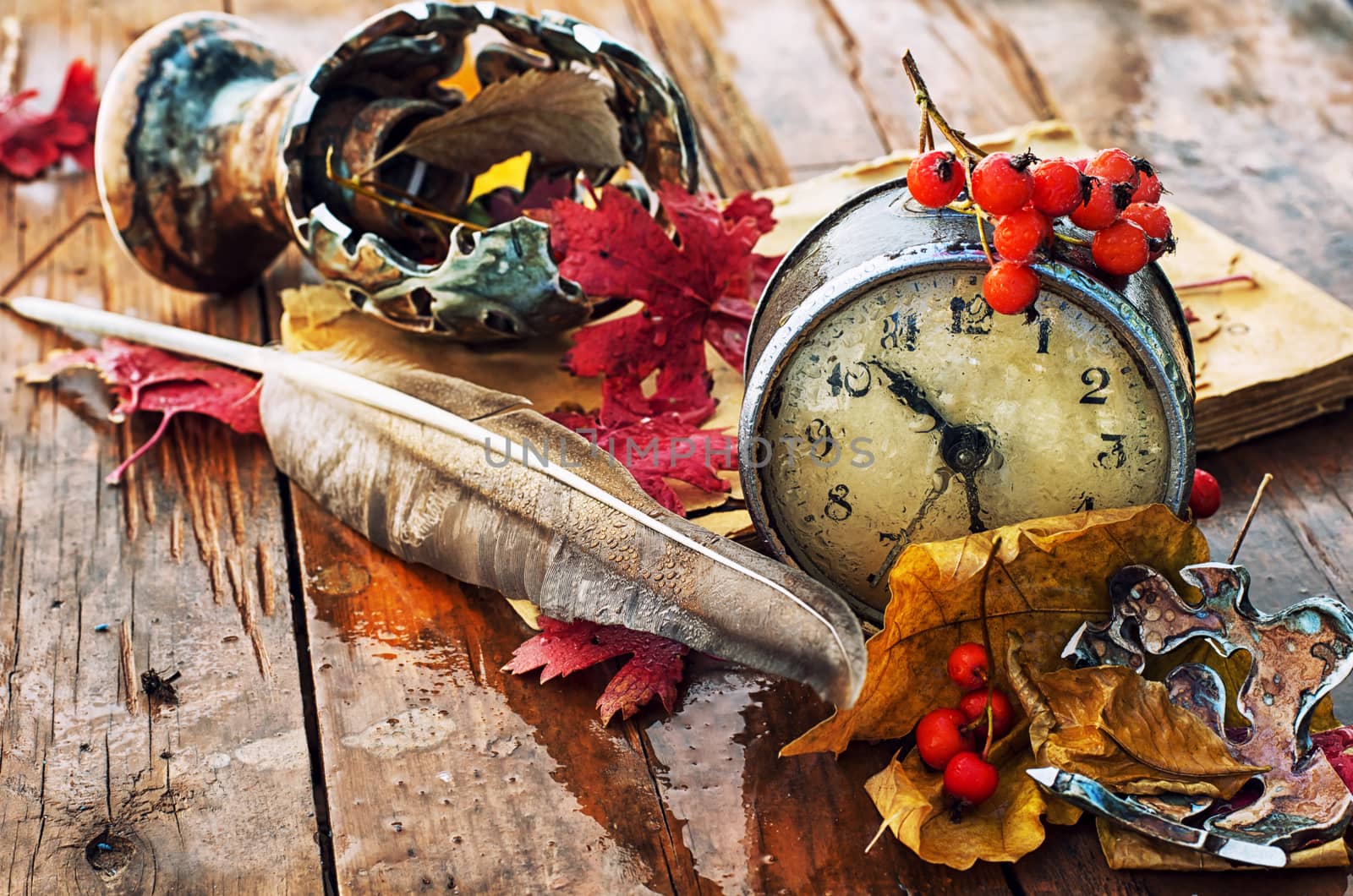 Autumn still life.The composition with the fallen leaves