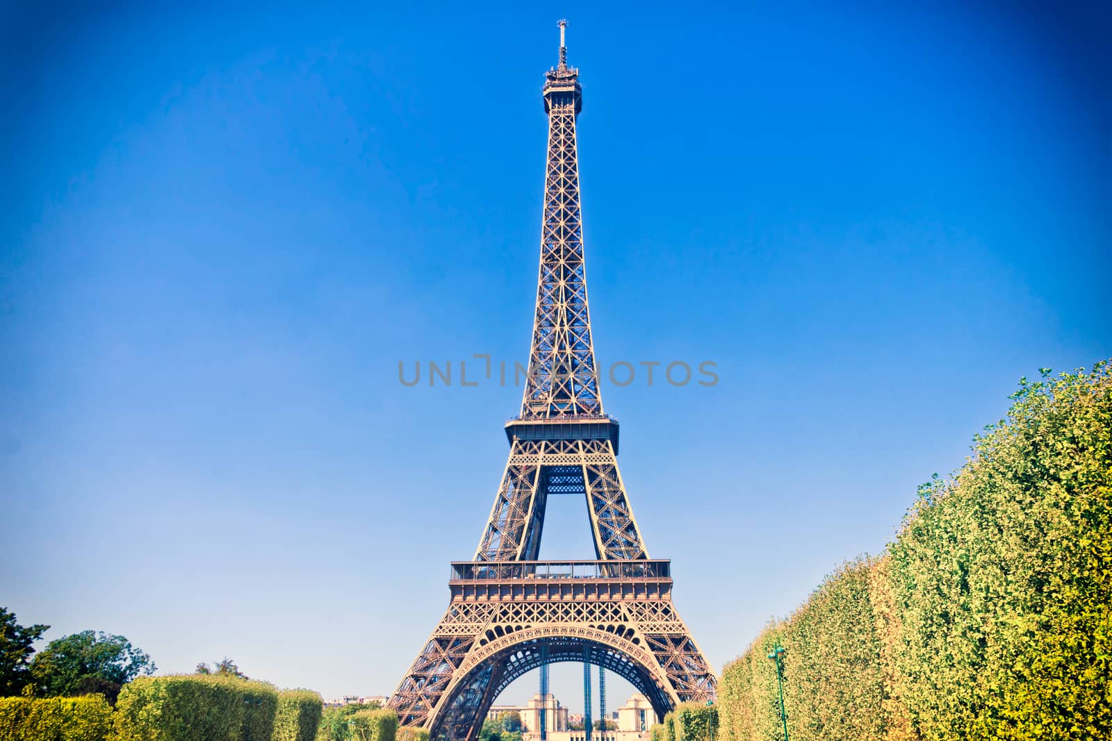 Eiffel Tower in Paris, France by gianliguori