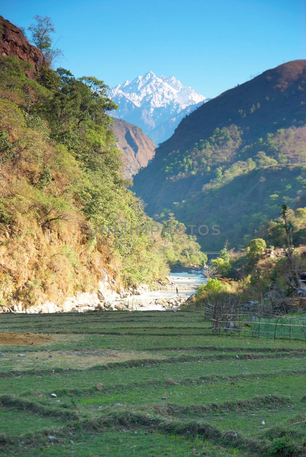 Green rice fields landscape in Nepal hills.