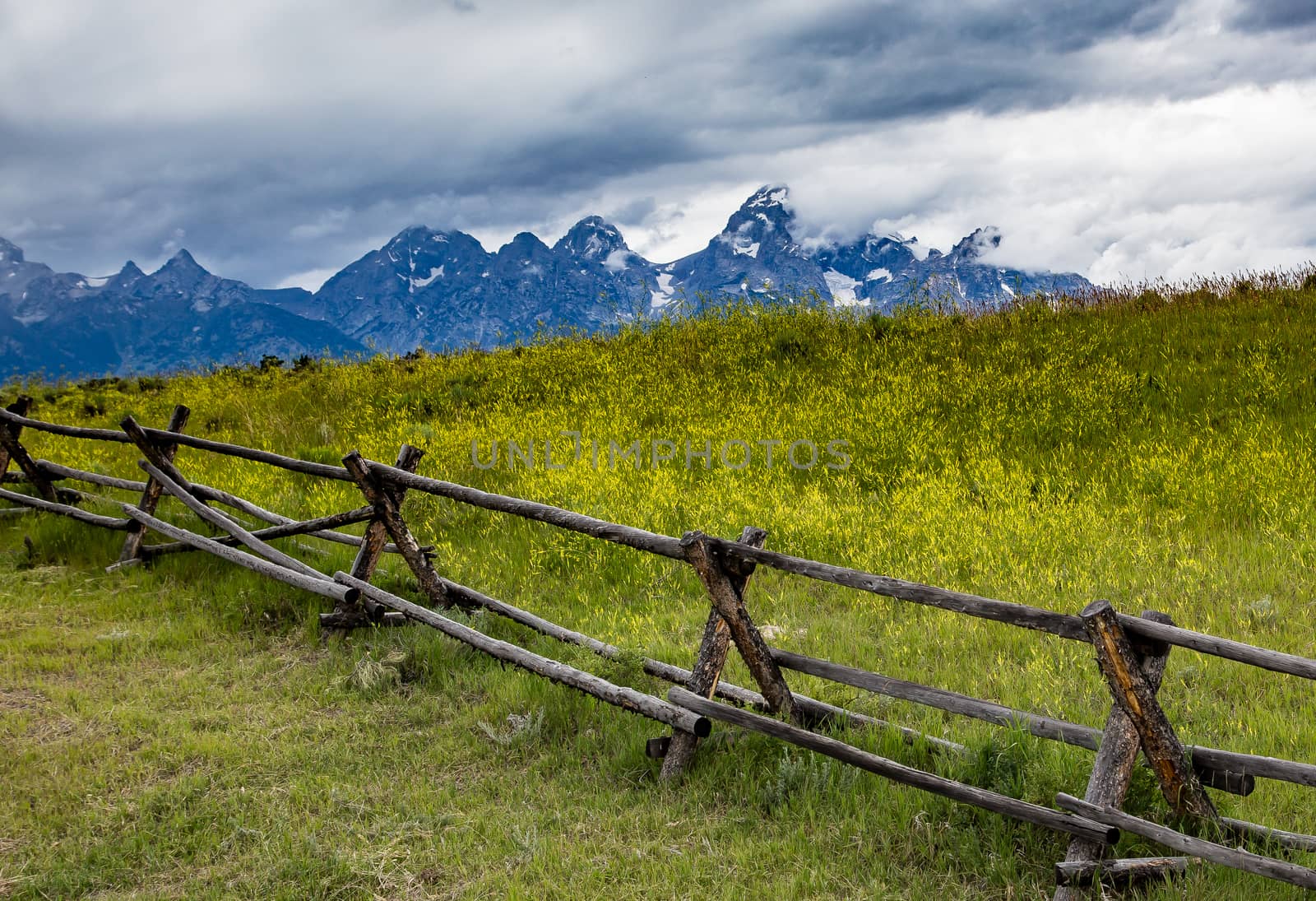 Old fence line in Jackson Hole, Wyoming.