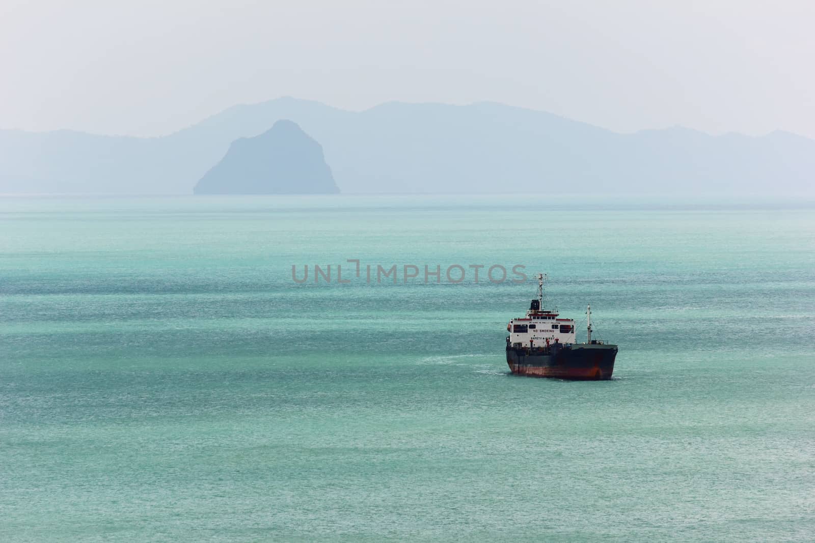 Ocean liner in the sea with the coast in background.