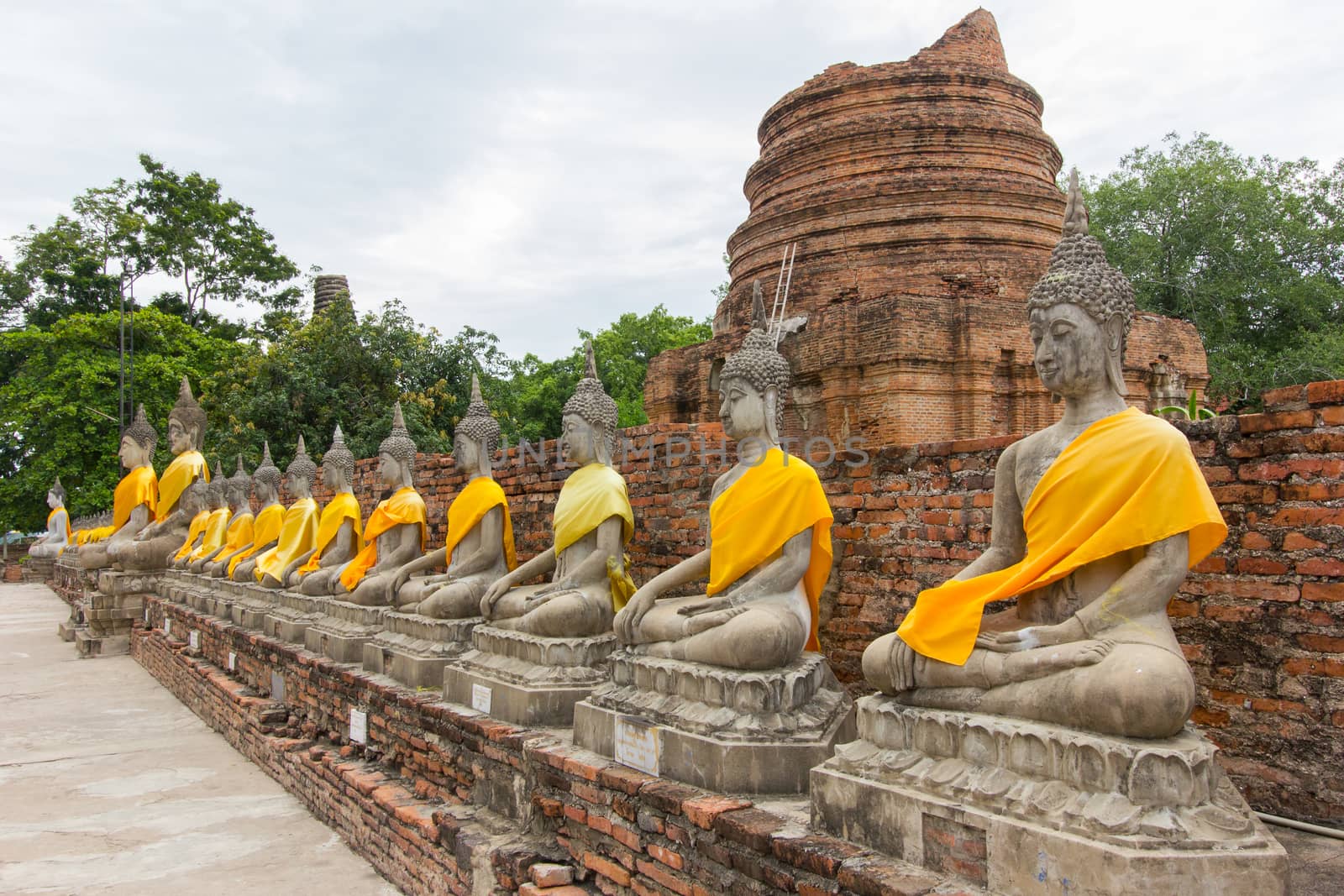 Row of Buddha statue at Wat Yai Chaimongkol - Ayutthaya