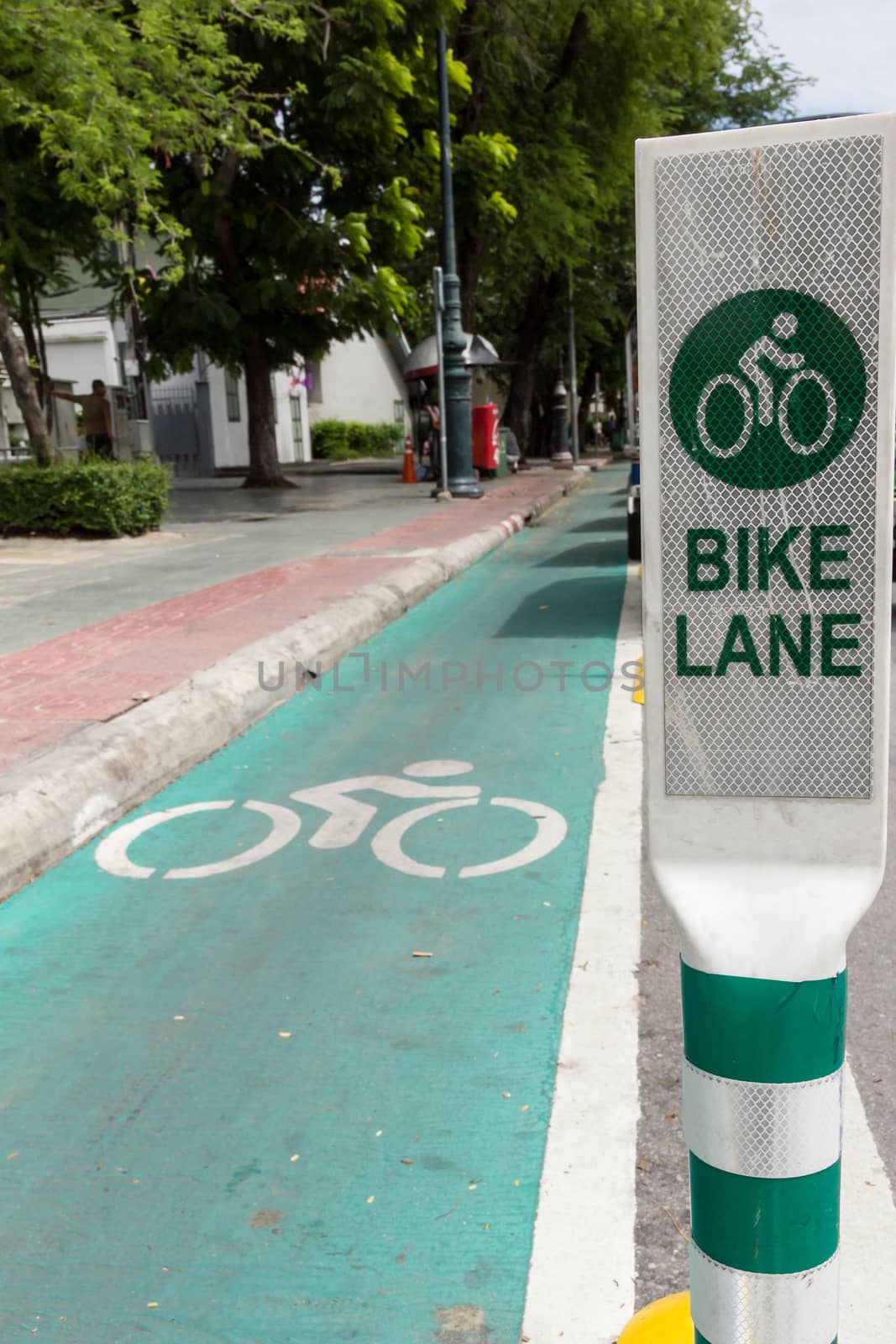 Bike lane by stigmatize