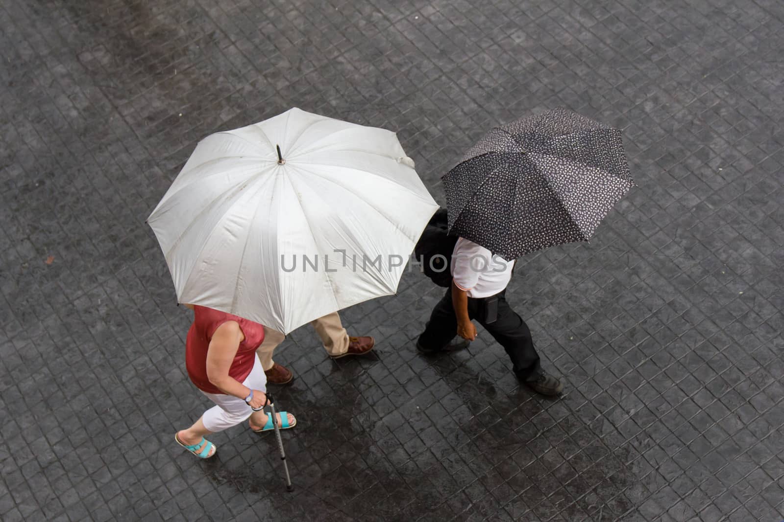 People walking in the rainy day with umbrella