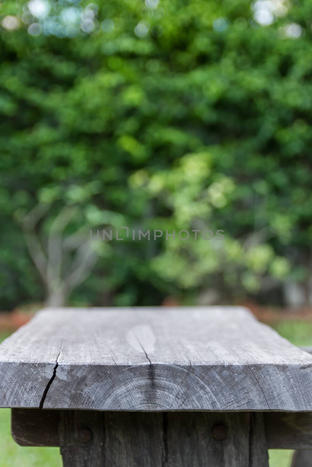 Wooden chair (focus in the front) in the garden with bokeh background