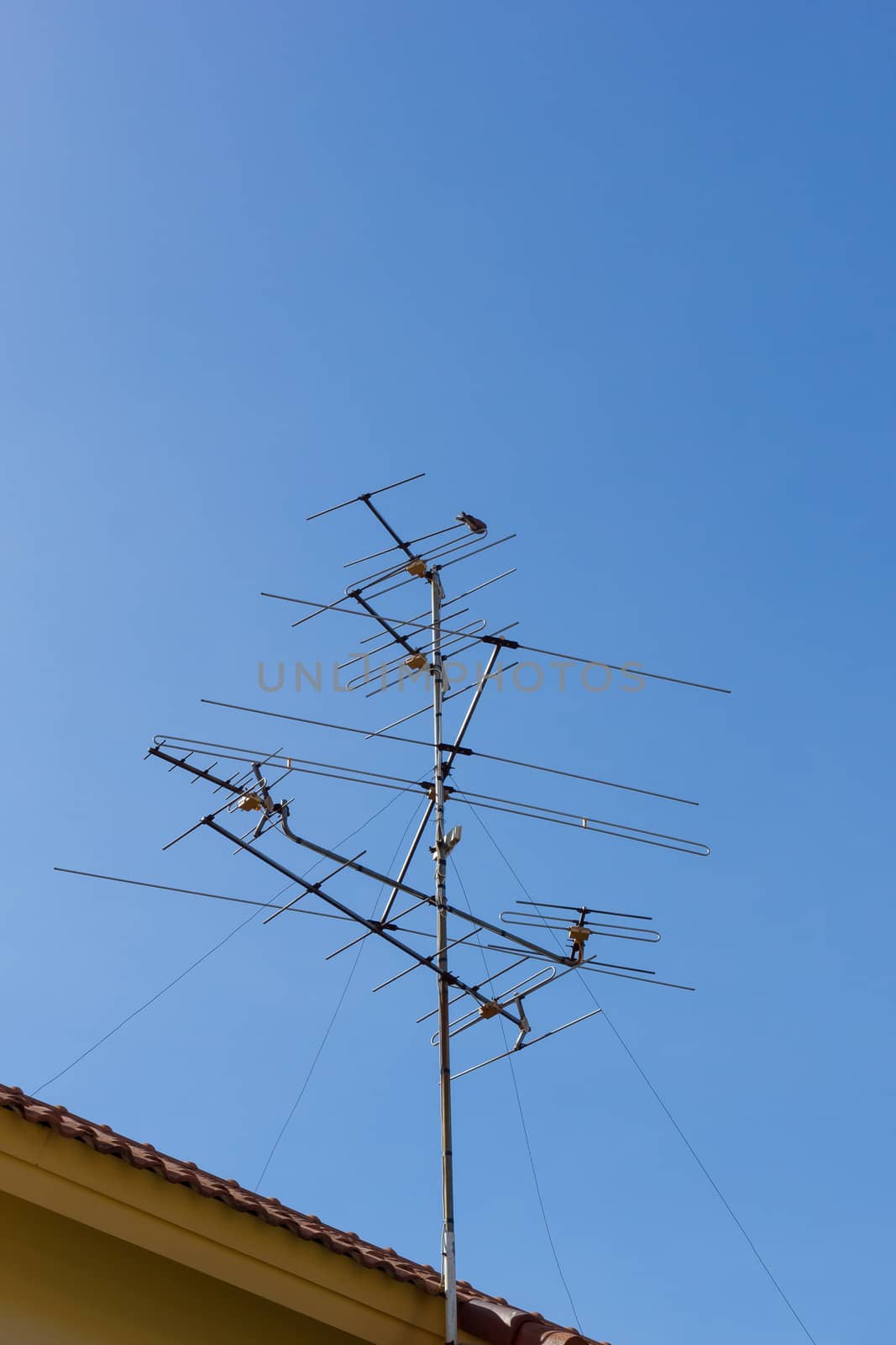 Antenna by stigmatize